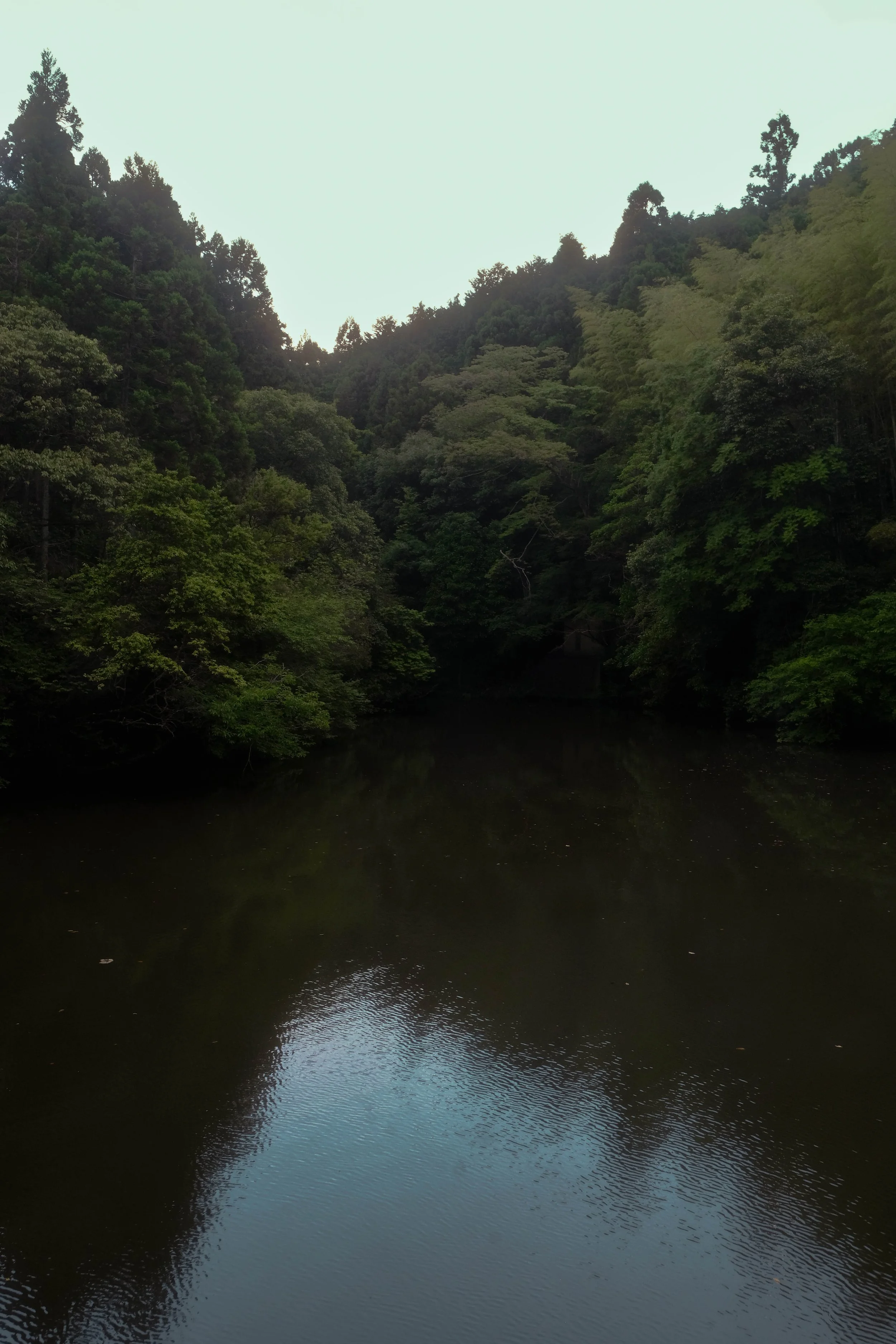 A calm river flowing through a lush green forested valley with tall trees on either side and a light overcast sky.