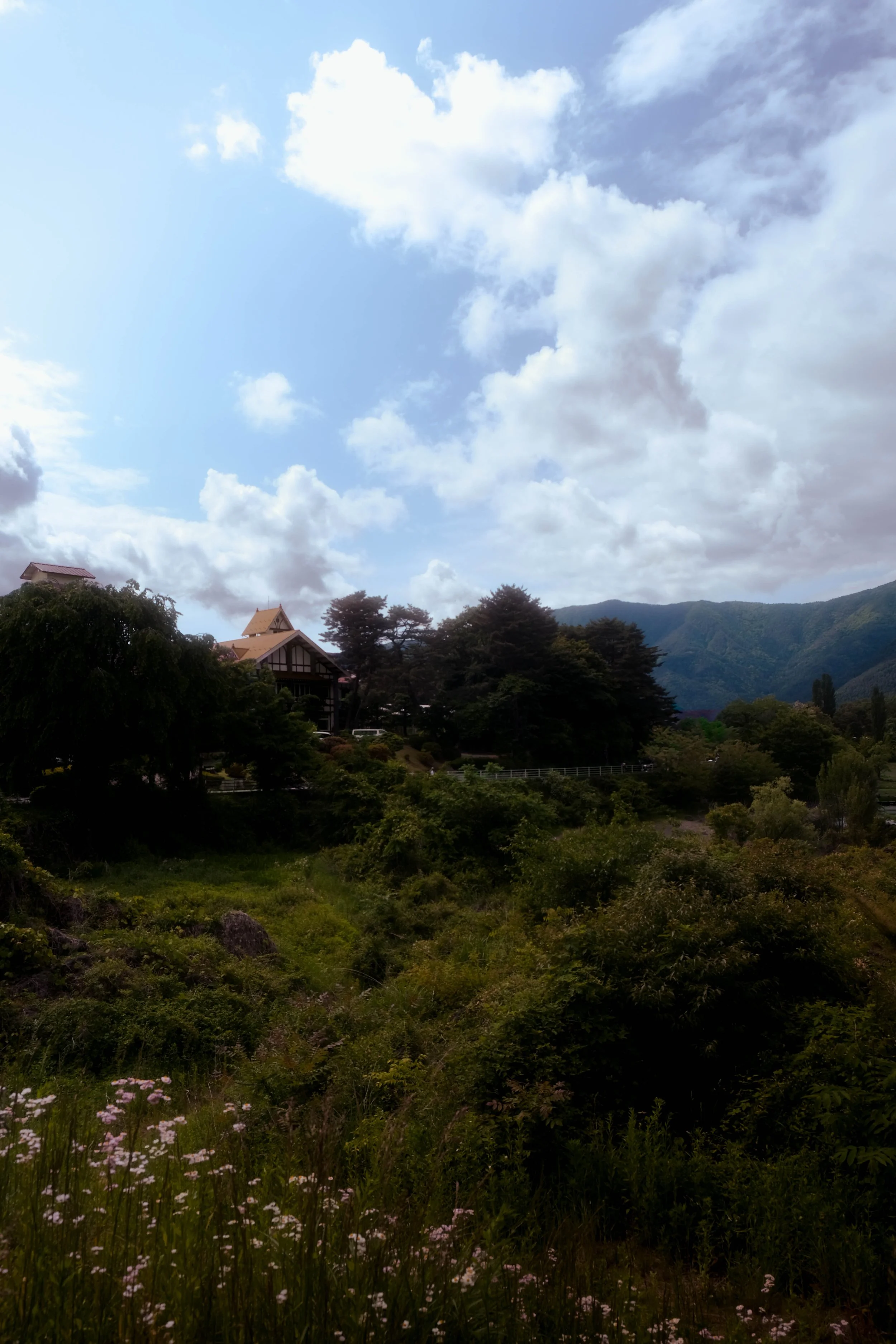 Cloudy sky over a lush green landscape with trees, flowers, a house, and mountains in the distance.
