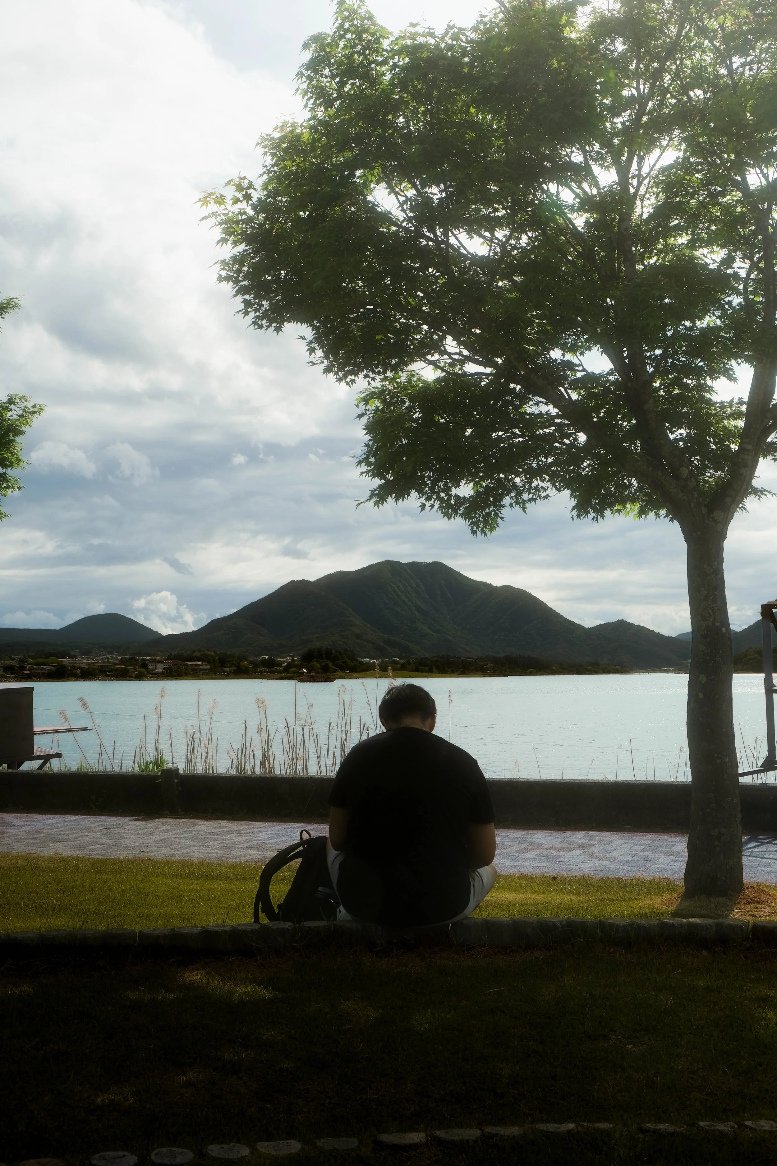 A person sitting on the grass near a body of water, with hills in the background and a tree in the foreground, during daytime with cloudy weather.