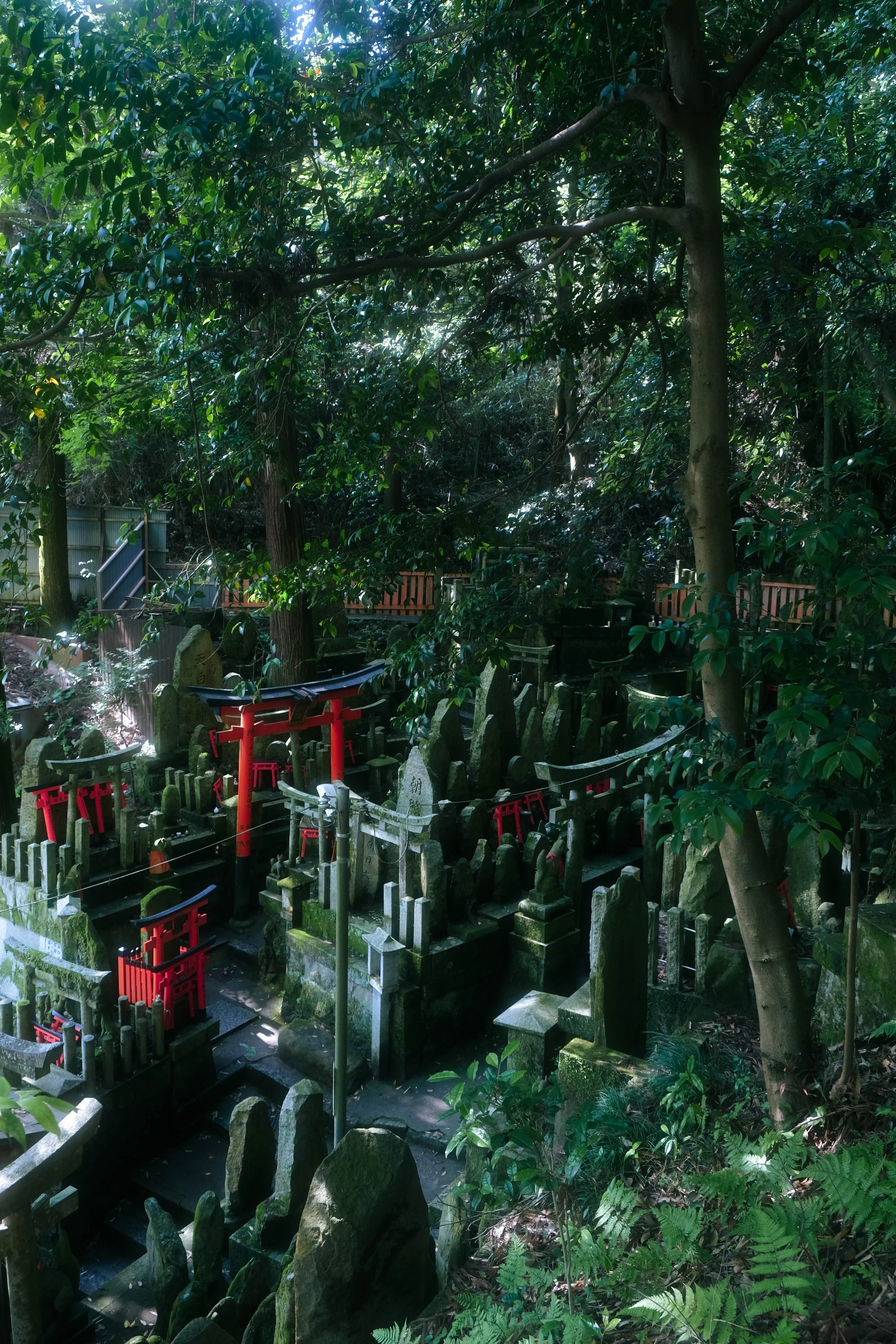 A densely wooded area with numerous trees and green foliage. Small traditional Japanese torii gates and stone memorials are visible among the trees and plants, suggesting this is a sacred or memorial site in a forest.