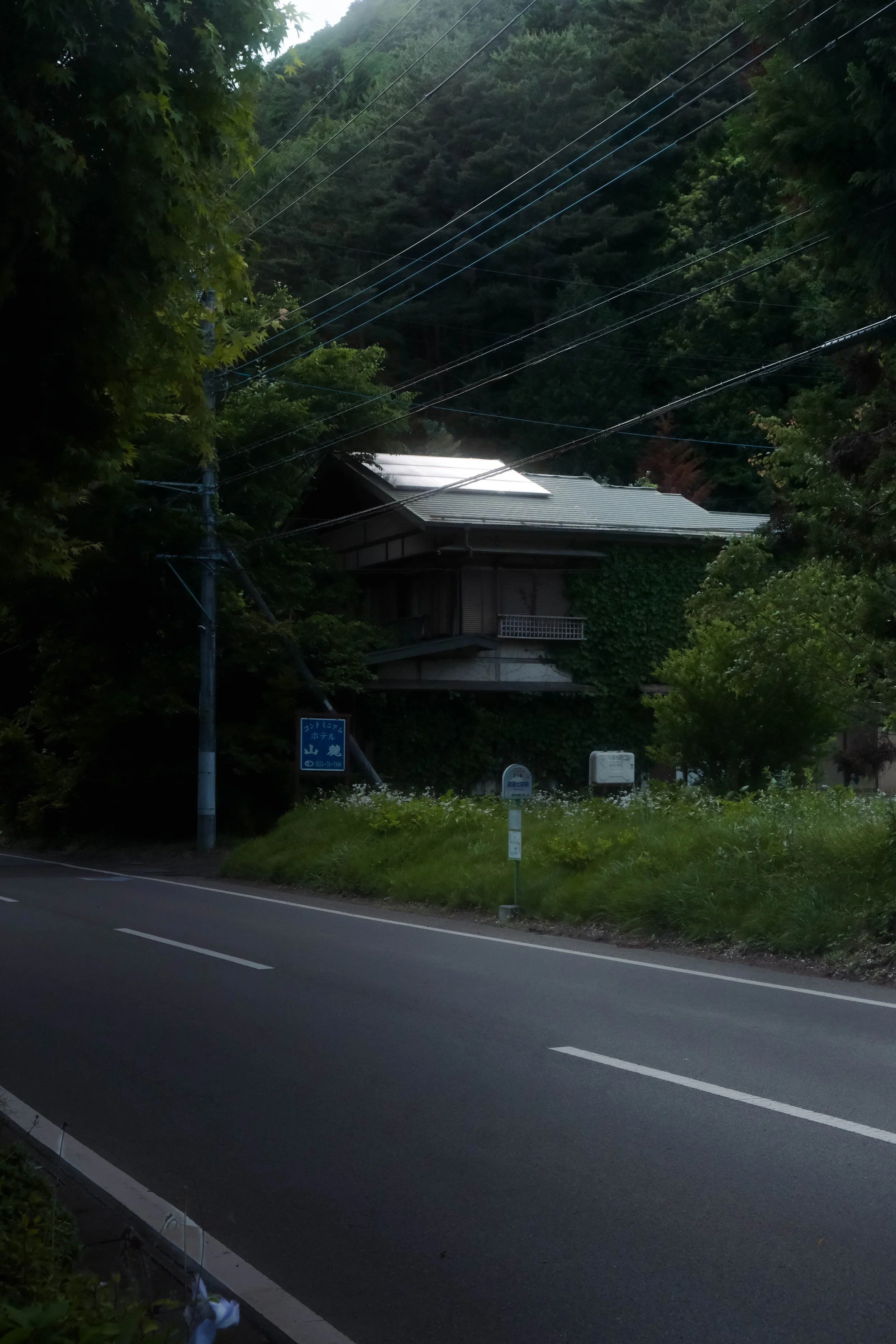 A rural mountain scene with a house partially covered by trees and vines, power lines crossing the sky, and a road with a grassy area and signs in the foreground.