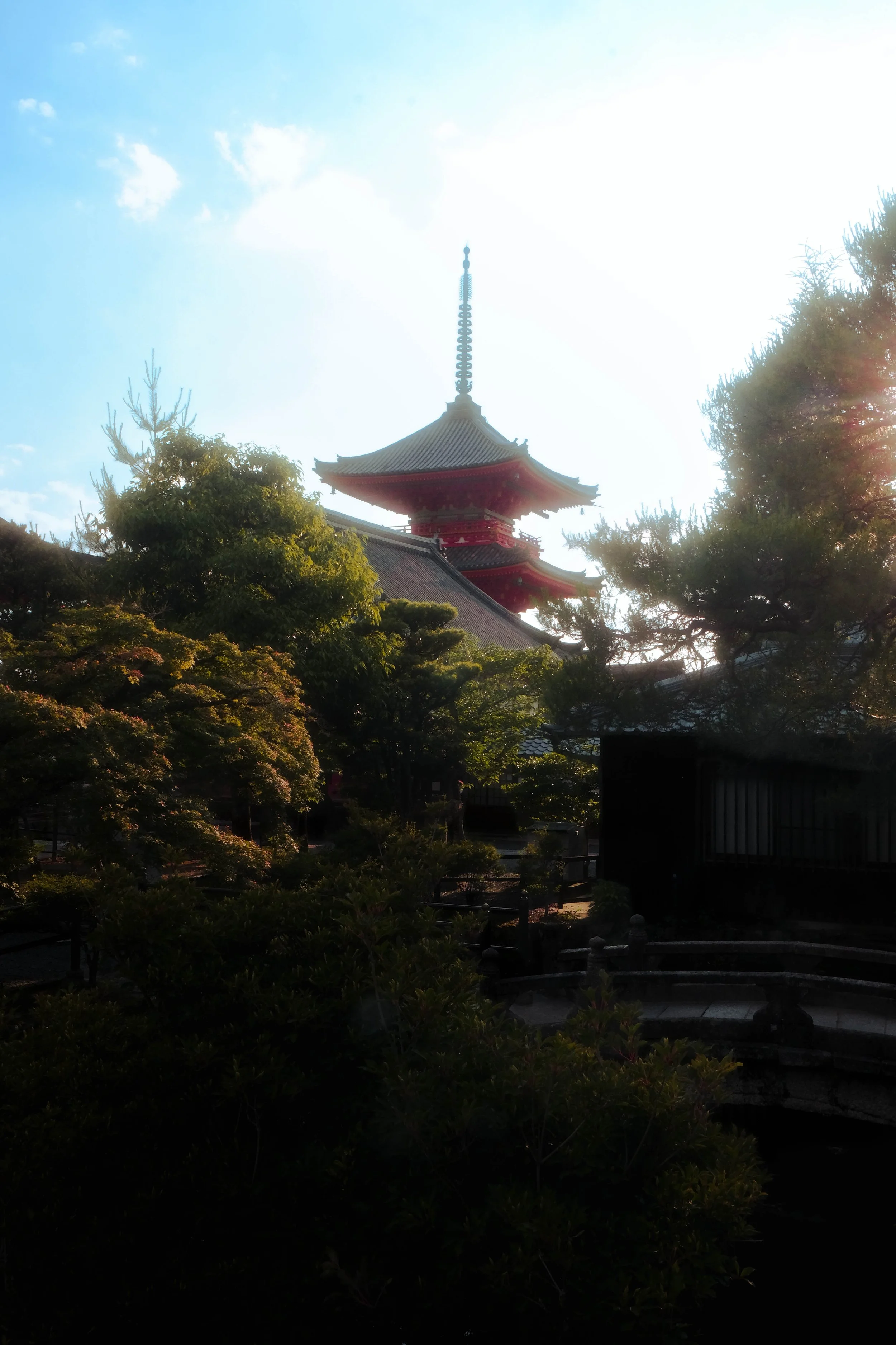 Traditional Japanese pagoda surrounded by trees with sunlight shining through.