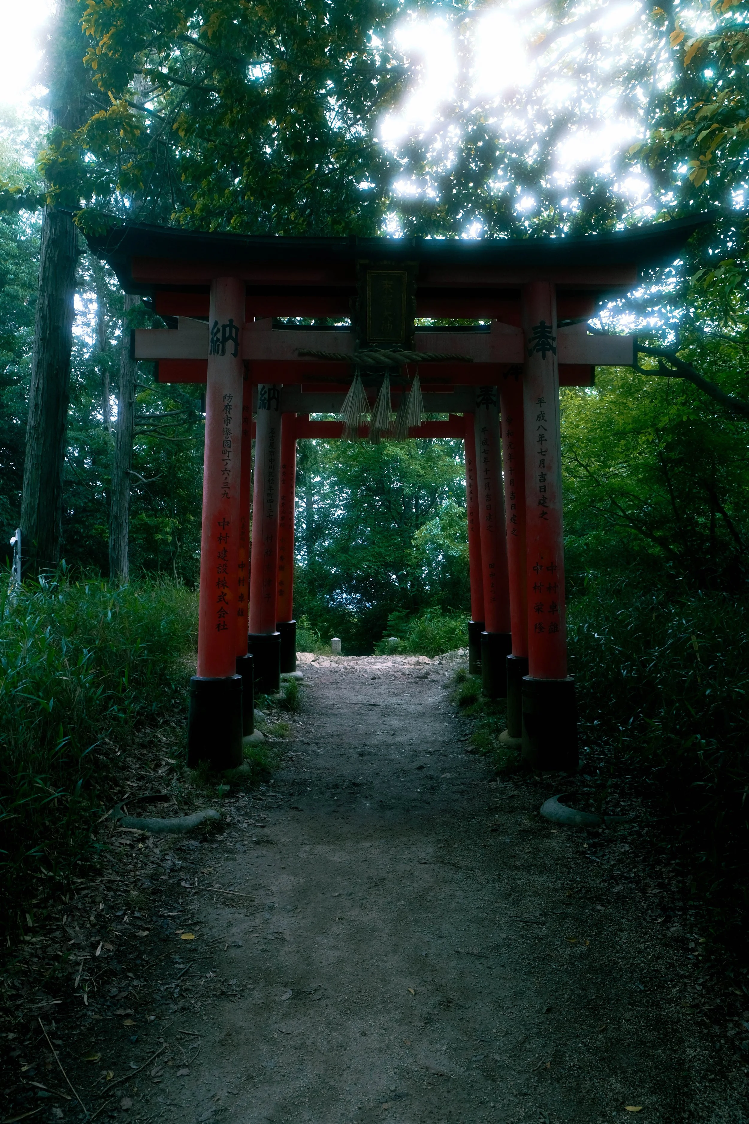 A pathway through a forest with red torii gates, under green trees with sunlight shining through.