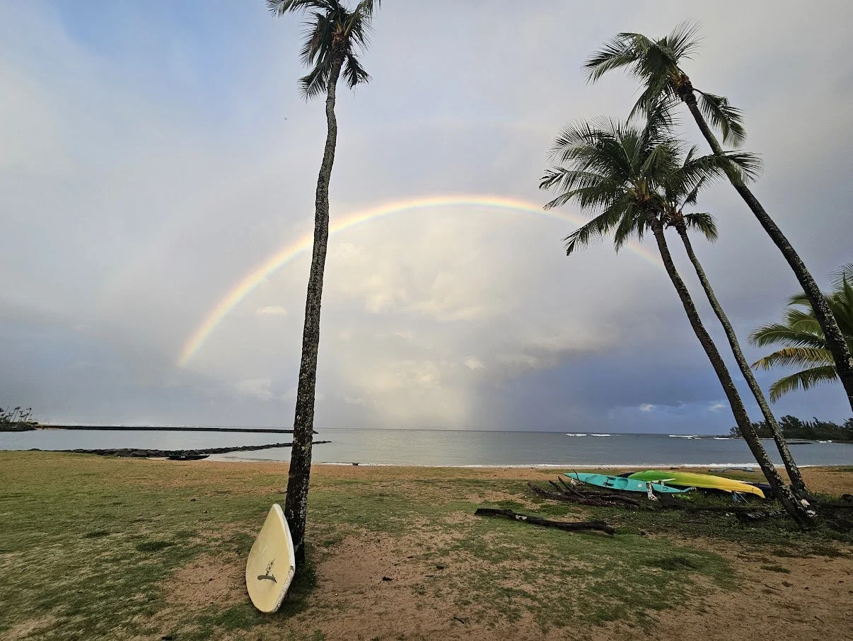 A beach scene with palm trees, surfboards on the sand, a rainbow in the cloudy sky, and the ocean in the background.
