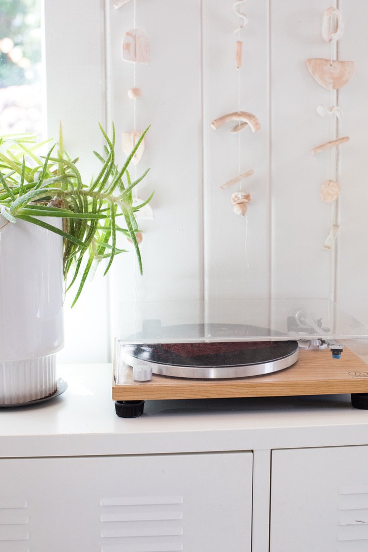 A turntable with a clear plastic cover on a white surface, with a potted plant featuring long, green, spiky leaves on the left and a wall with hanging shell-like decorations in the background.
