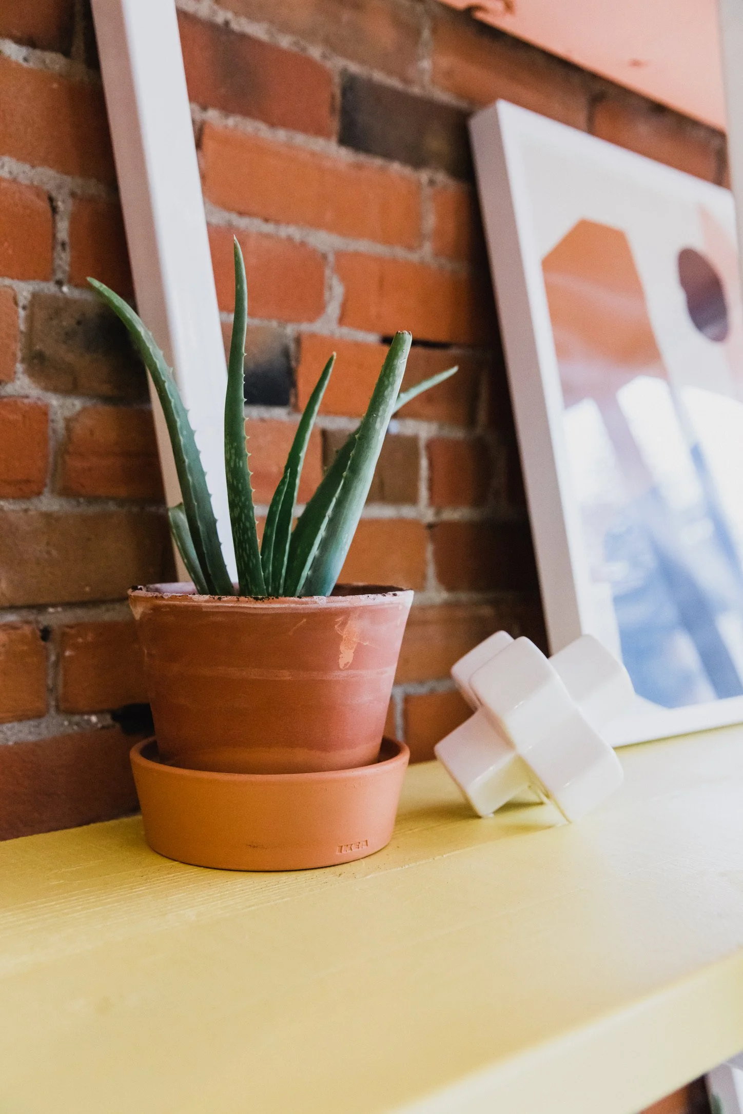A potted aloe vera plant on a yellow surface, with a brick wall in the background and a hanging picture or artwork partially visible.