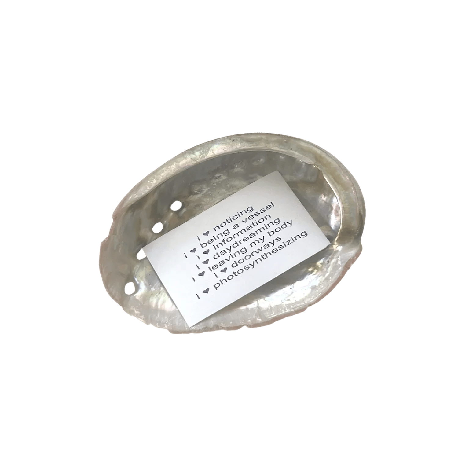 0C10DB59-F38A-4E29-B357-E5720C52E805_1024x1024@2x.png.webp