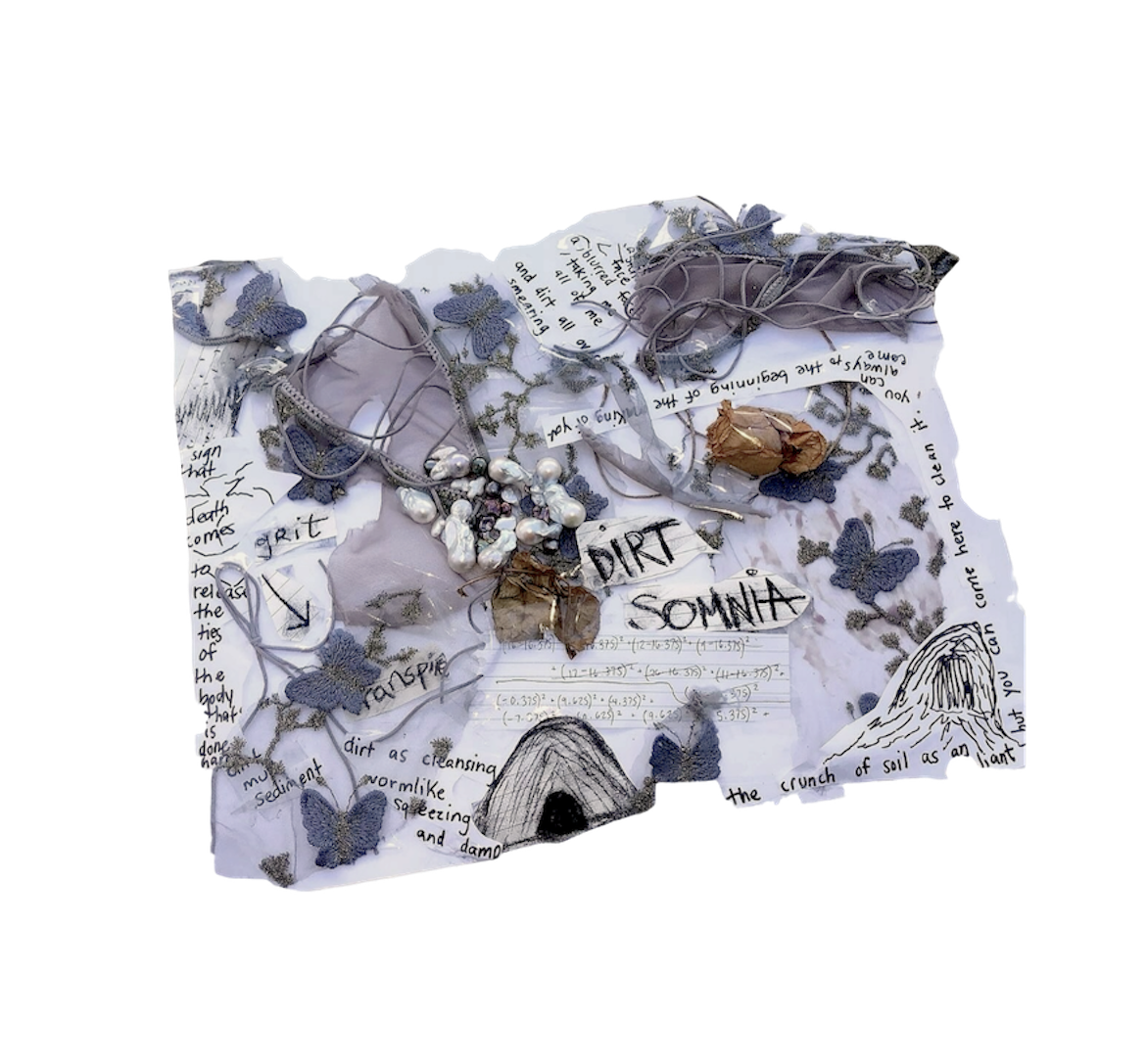 dirt somnia