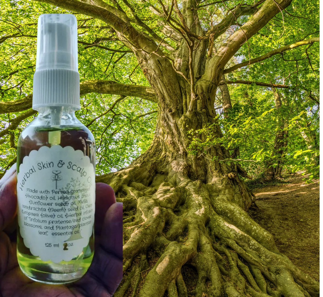 Anointed Root Radiance Oil 2oz.