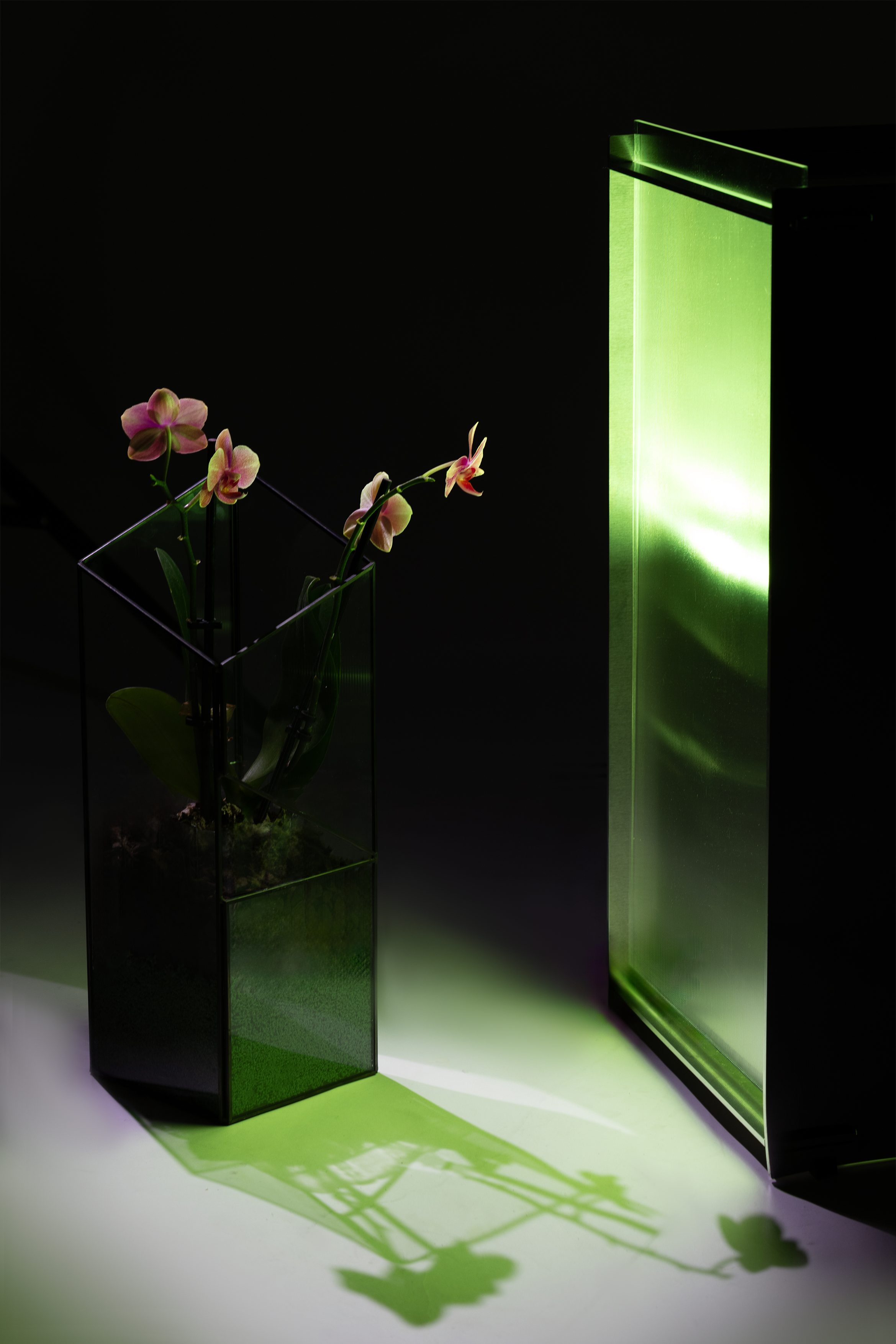 flower.PNG