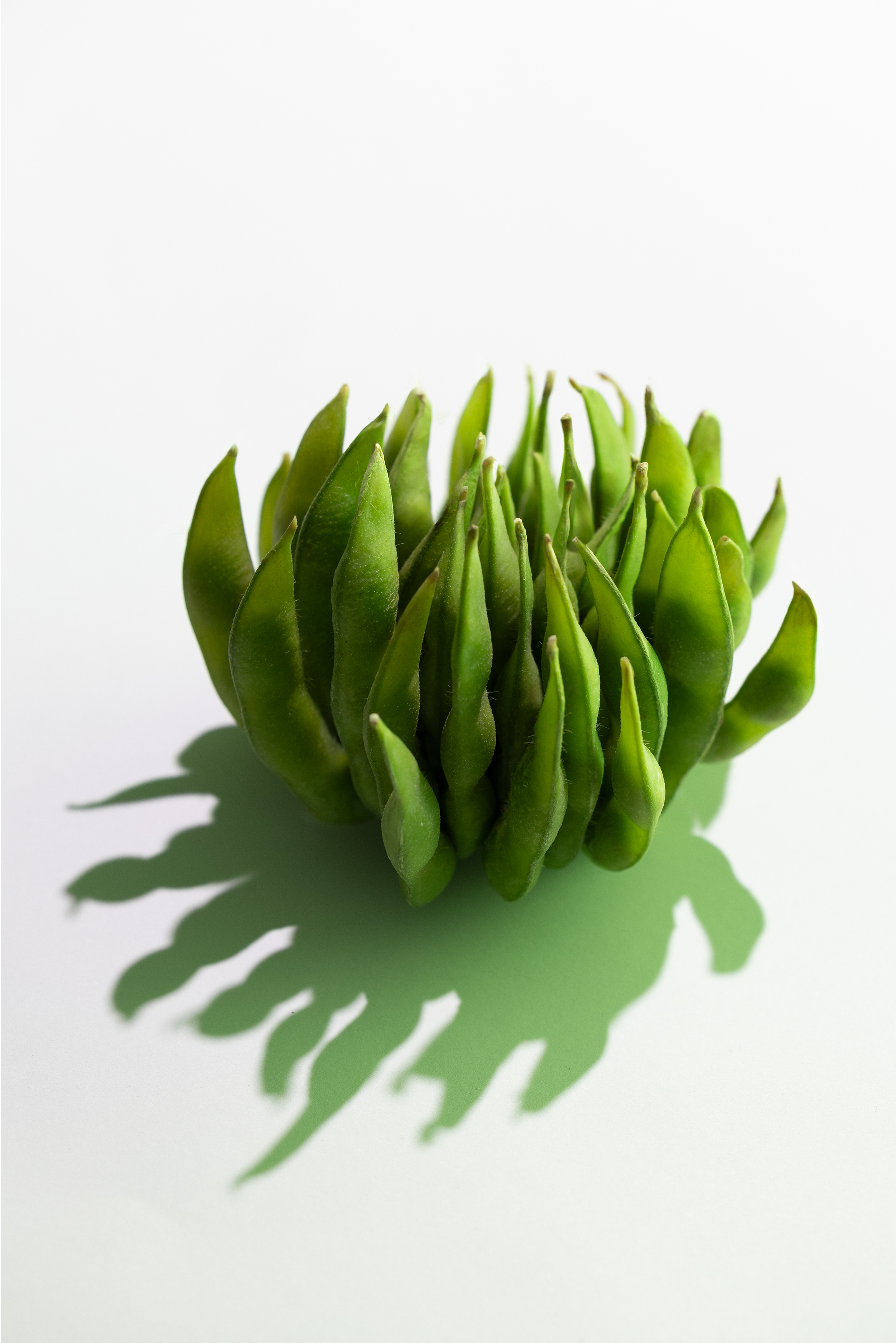 pea.PNG