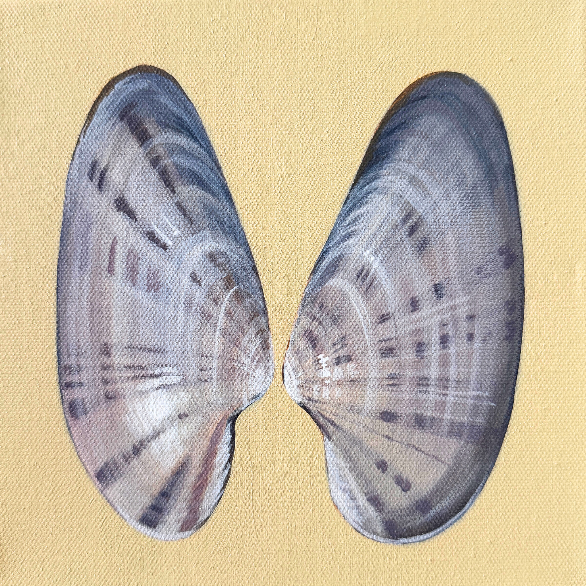 Angel Shell.png
