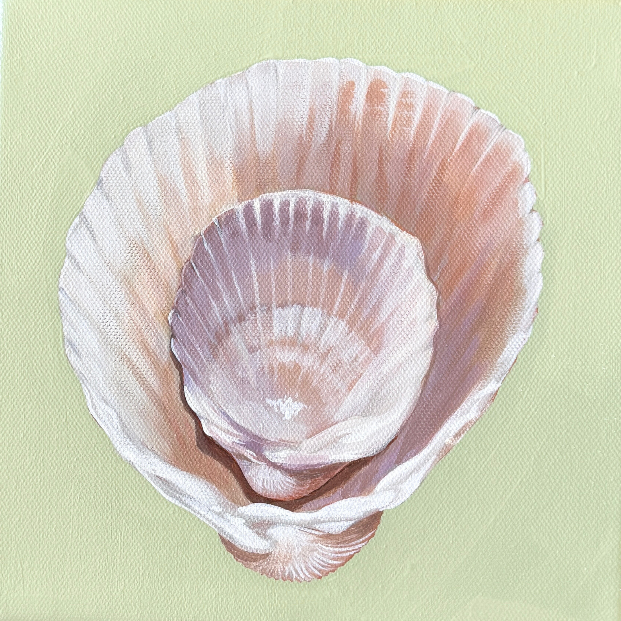 Shell Stack No.3.png