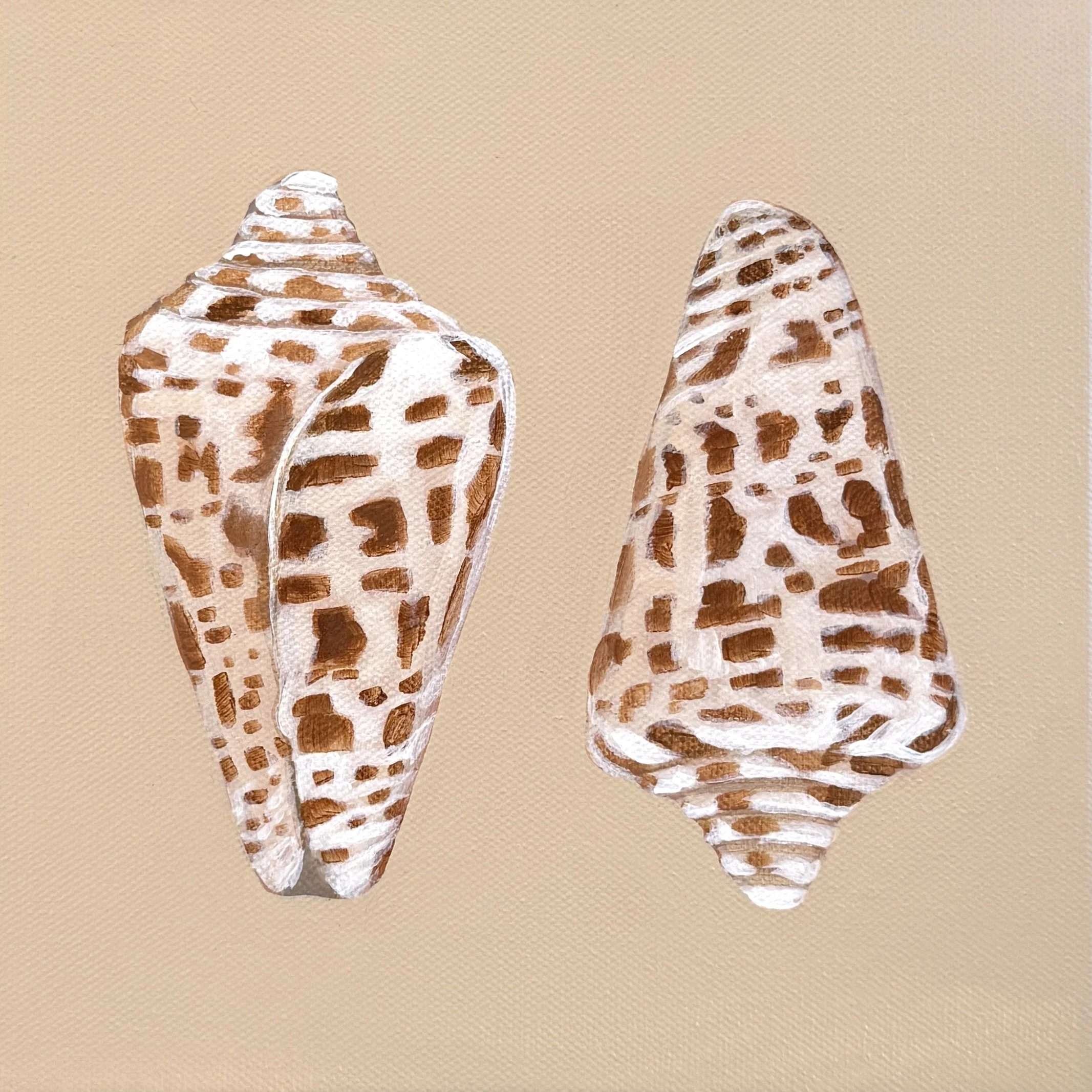 Alphabet Cone Pair.jpg