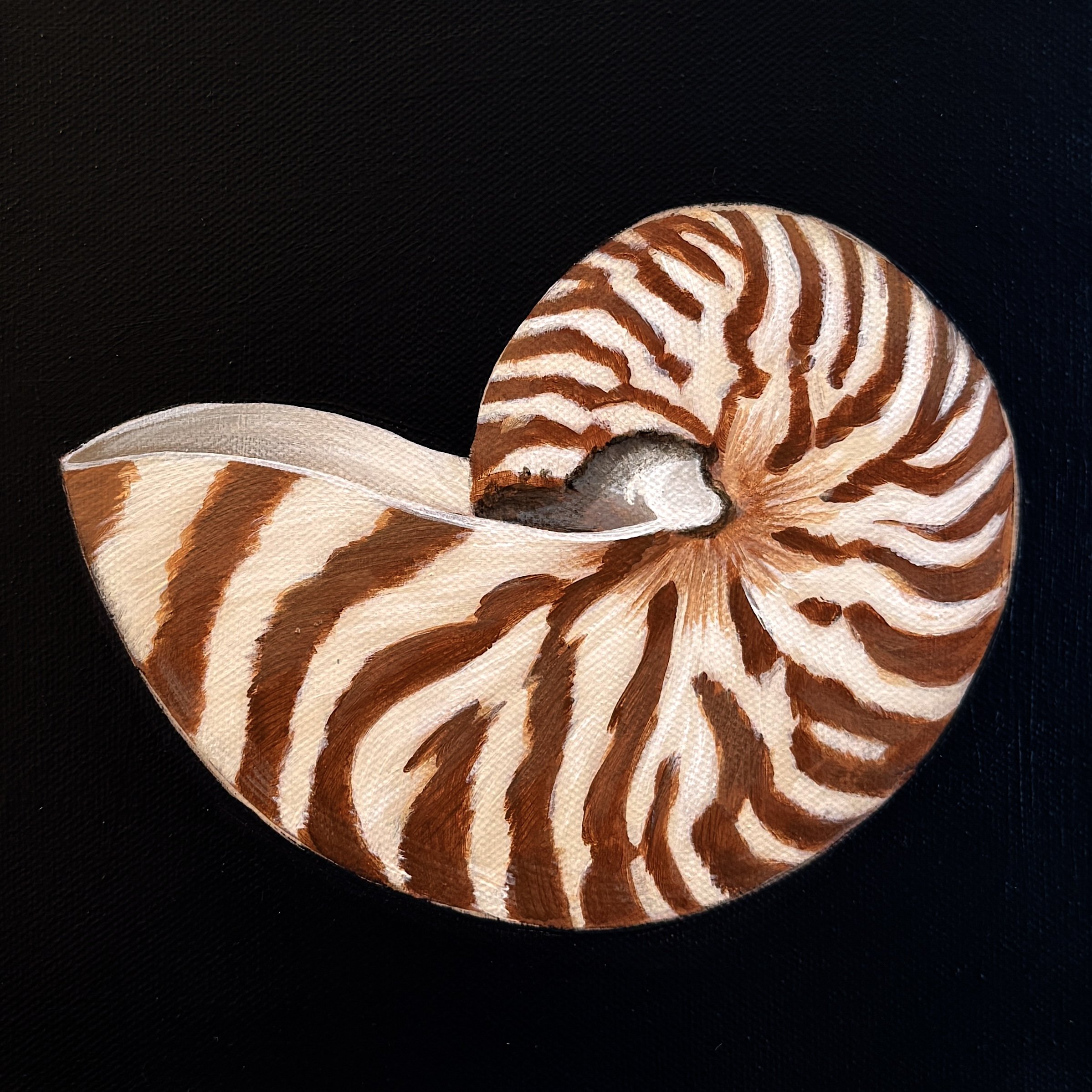 NAUTILUS.jpg