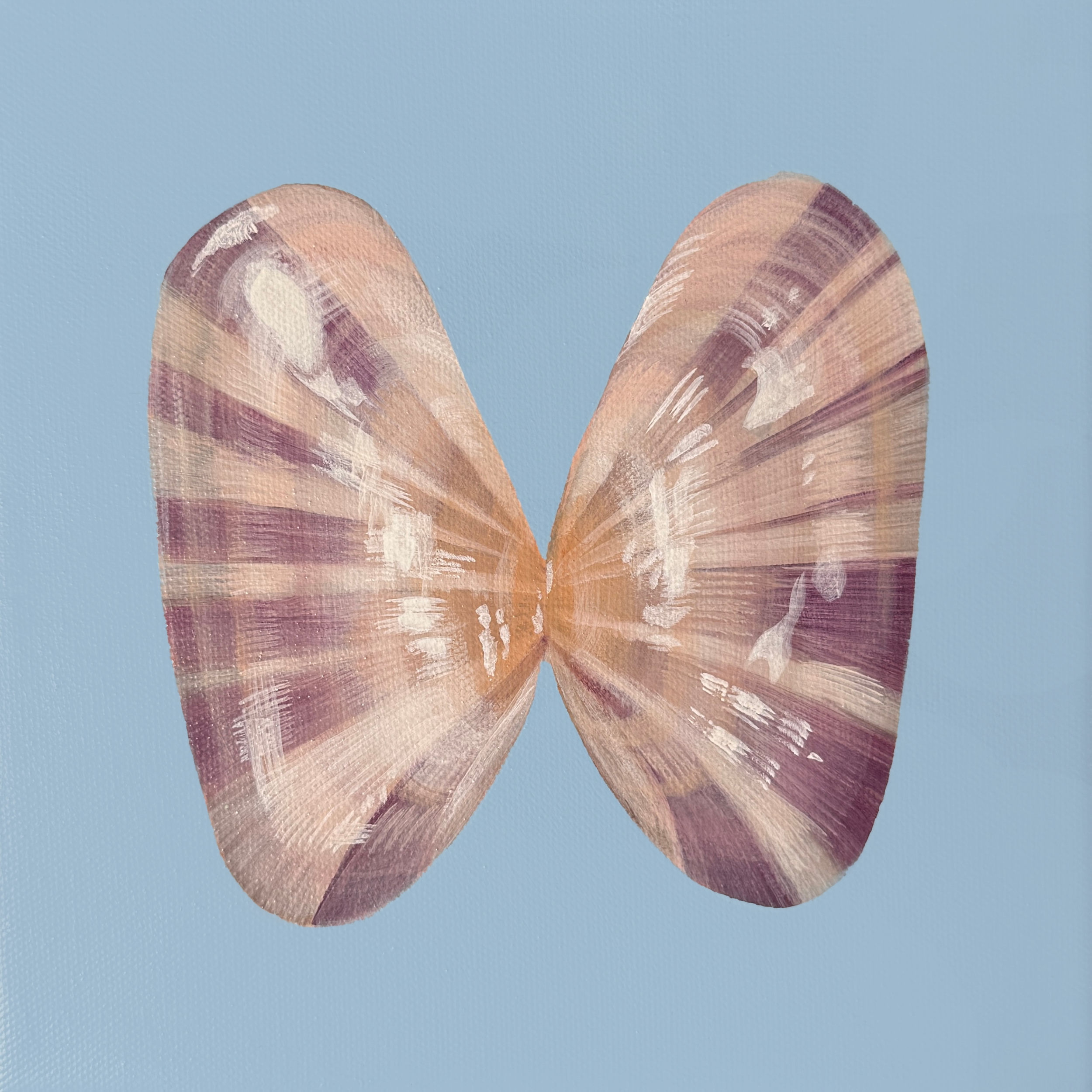 Coquina No. 2.png
