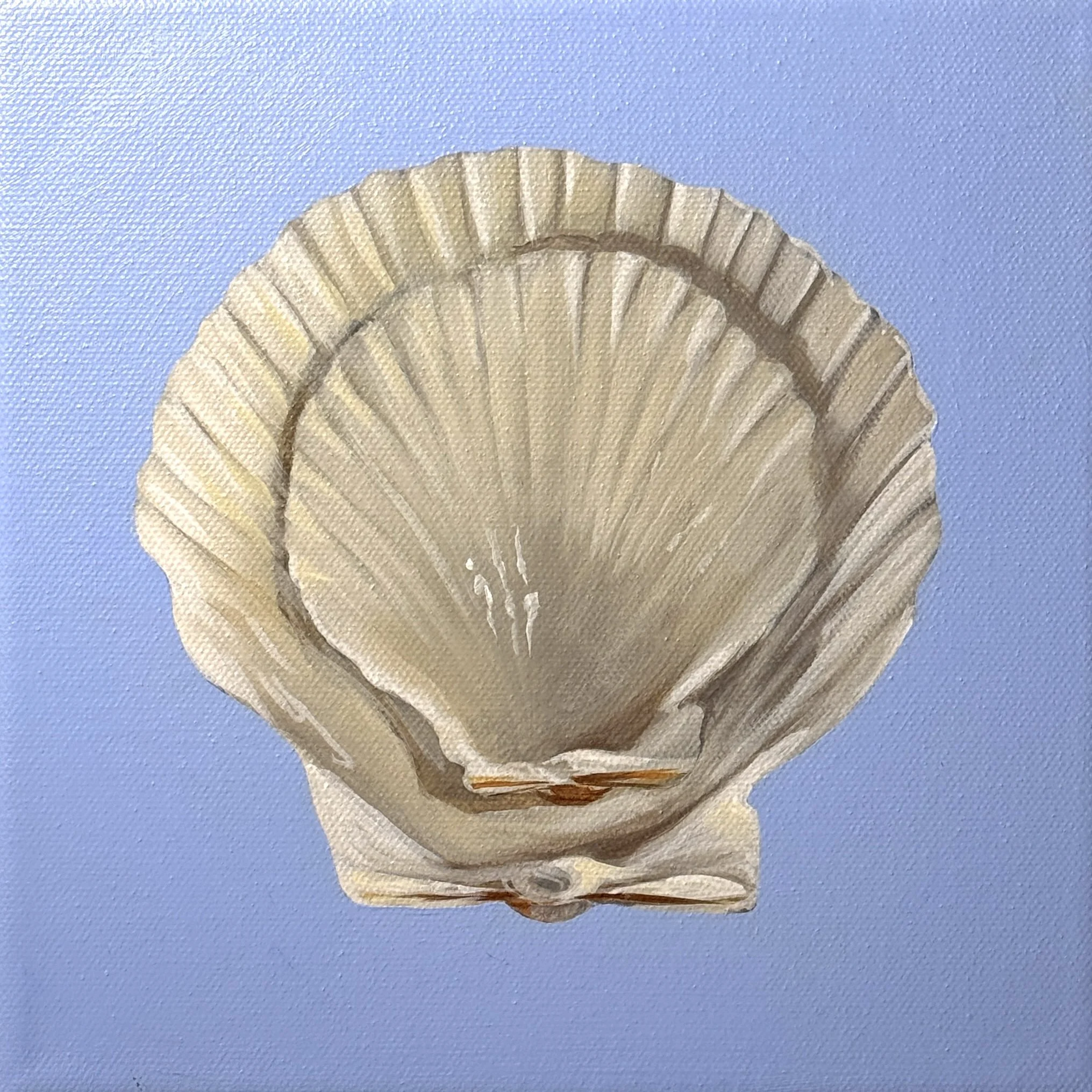 Shell Stack No. 5