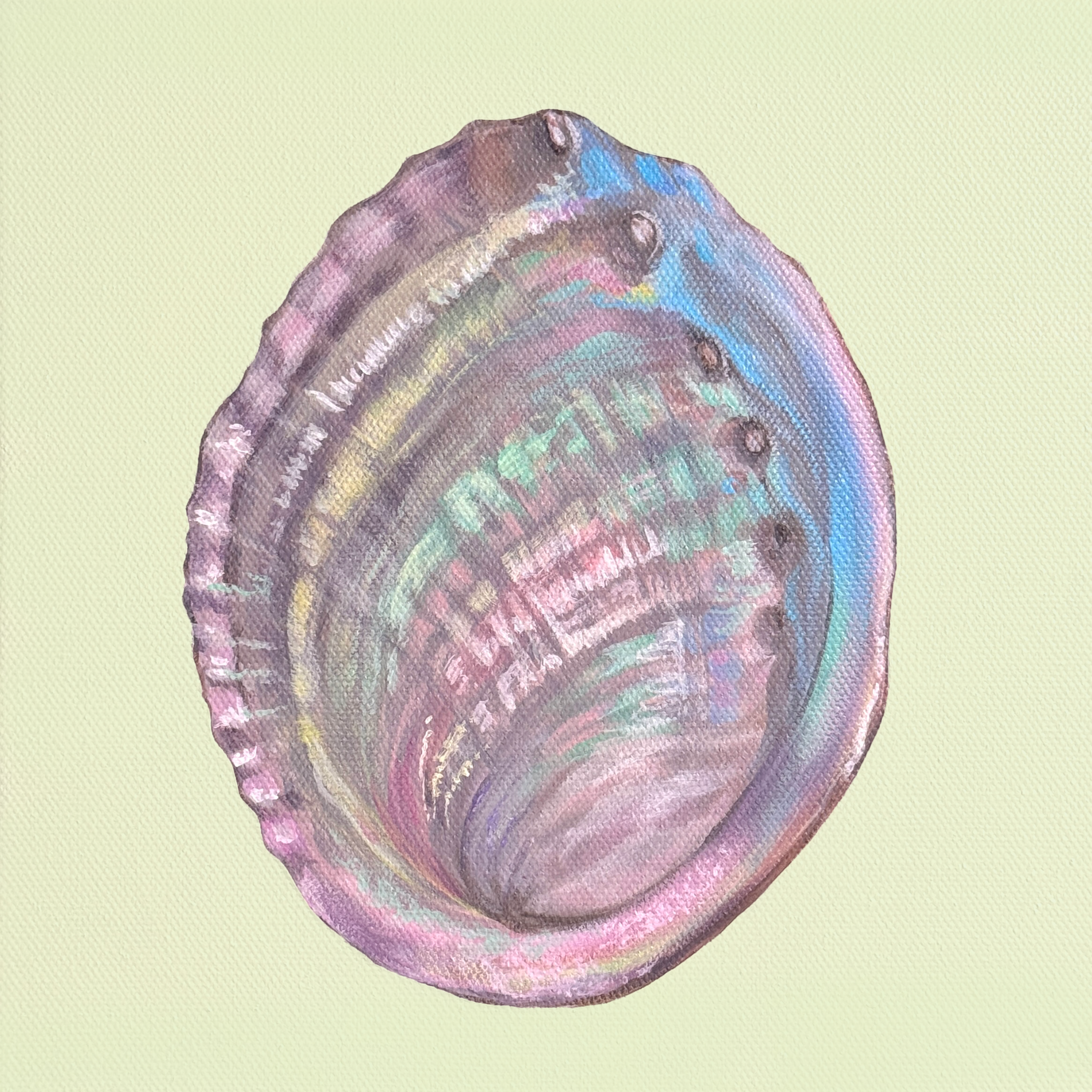Abalone.png
