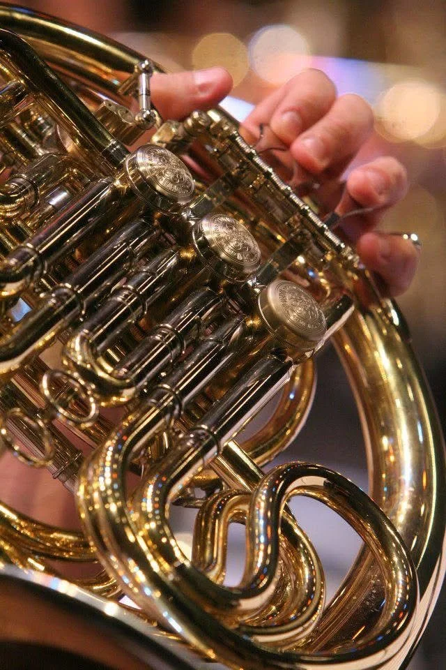 Luis Castro, Director, Conductor, Casa de la Música, Venezuela, Ecuador, Cornista, Horn Player, Simon Bolivar Symphony Orchestra, Orquesta Simón Bolivar