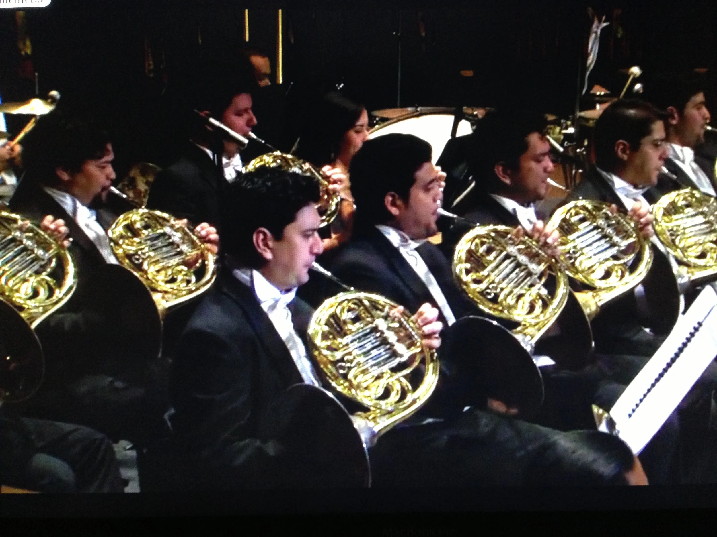 Luis Castro, Horn Player, Simón Bolivar Symphony Orchestra, Mahler 8 Salzburg festival