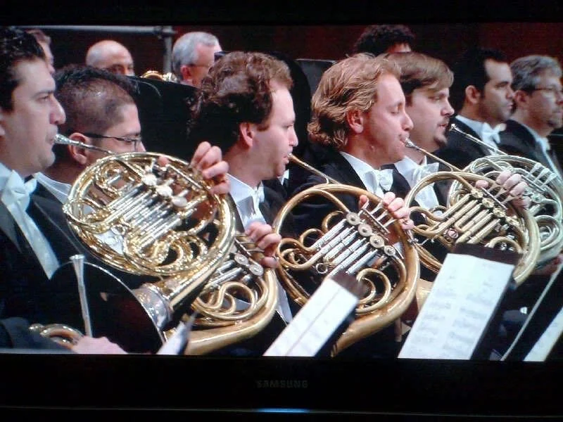 Luis Castro, Horn Player, Simón Bolivar Symphony Orchestra, Los Angeles Philharmonic Orchestra
