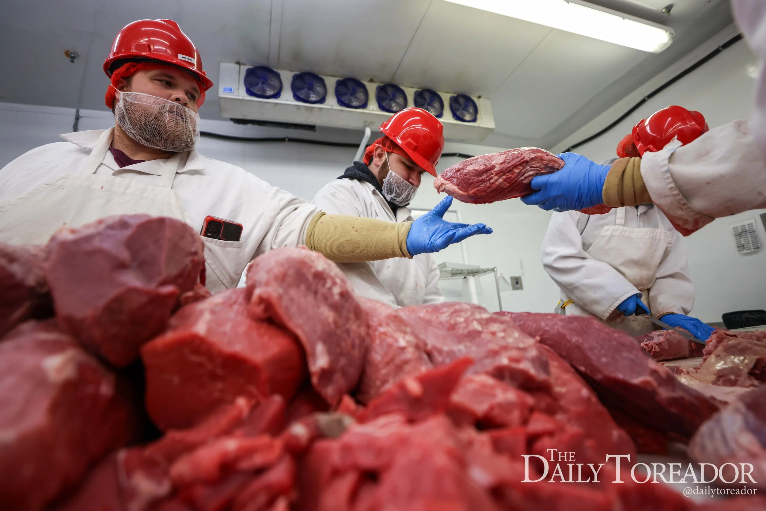 Workers wearing red hard hats, masks, and gloves inspecting raw meat in a slaughterhouse or processing facility.