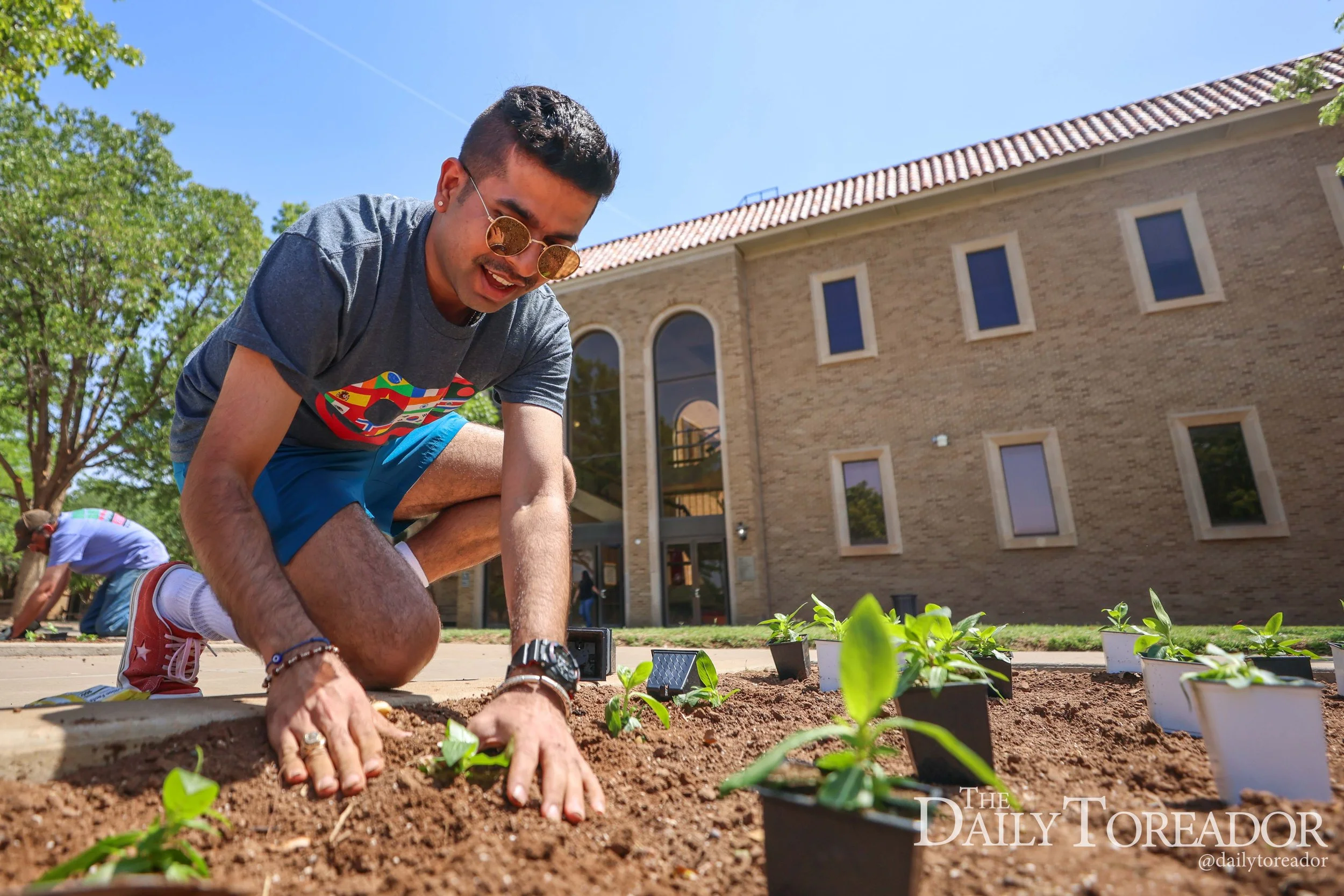 A person with short dark hair, wearing sunglasses, a gray t-shirt, blue shorts, and colorful sneakers, is crouching down and planting small green seedlings in soil outdoors. In the background, a brick building with several windows, a tree, and a clea