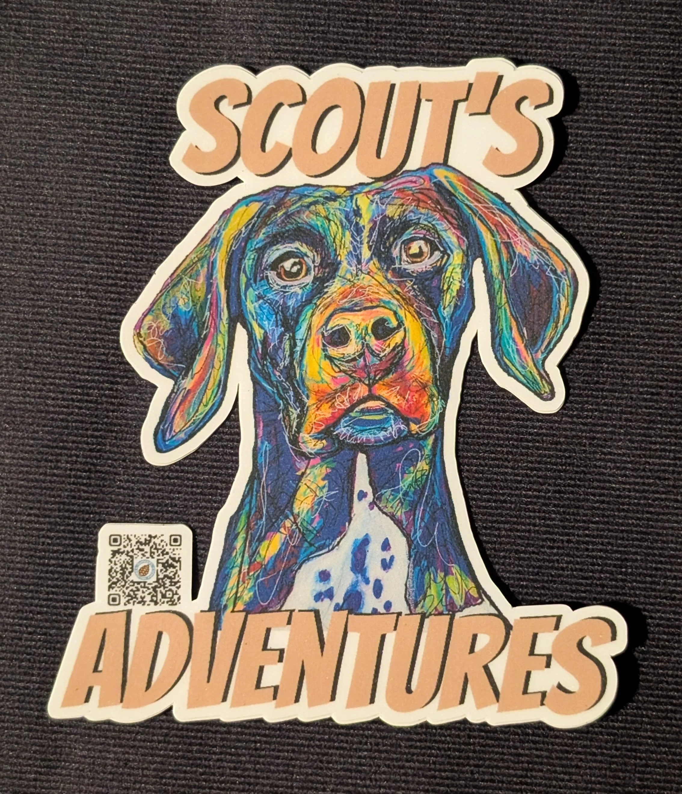 Experienced Scout