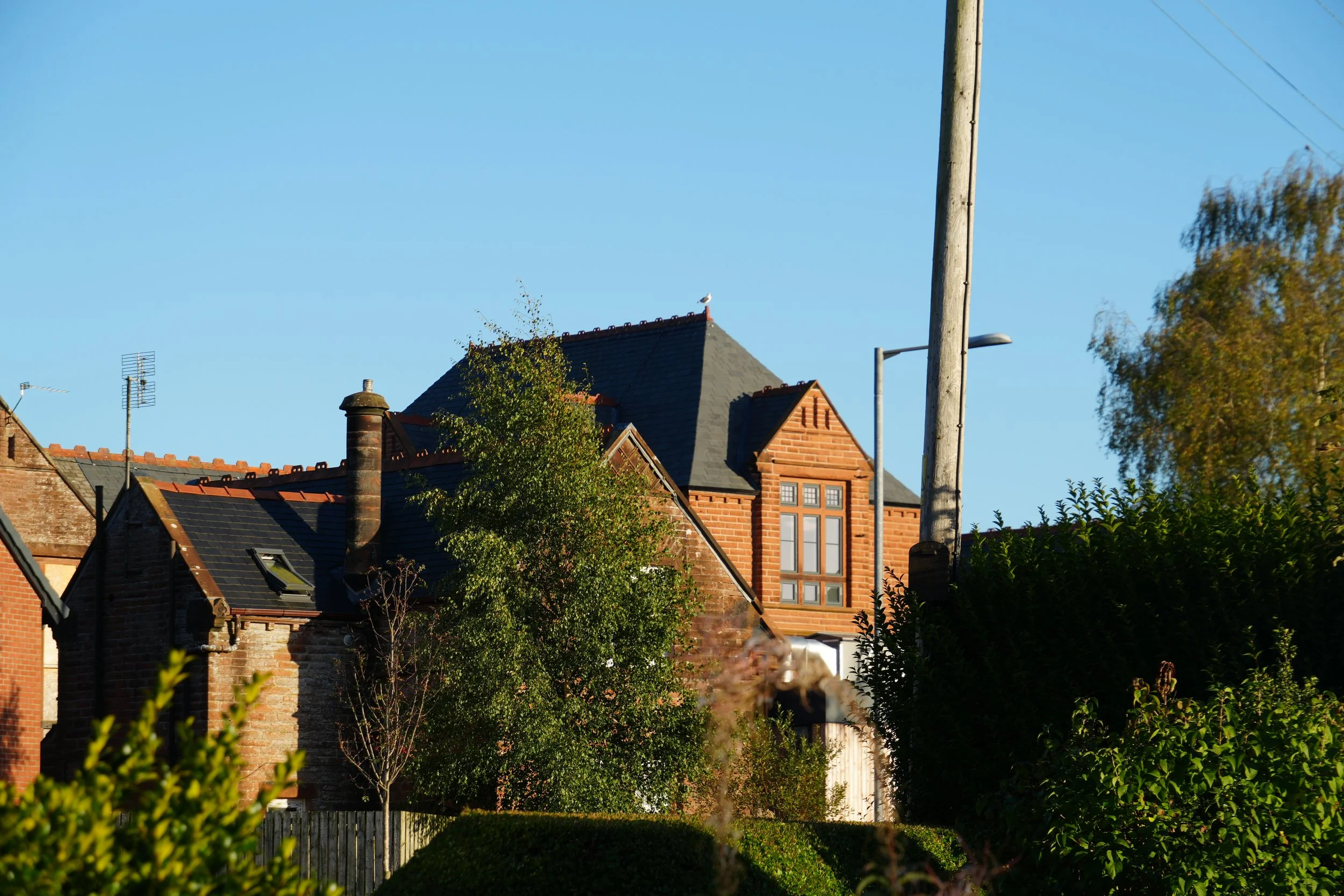 A view of rooftops of brick houses with chimneys, trees, a power pole with light, and antennas under a clear blue sky.