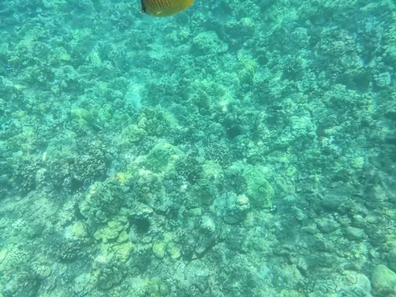 夏威夷8.jpg