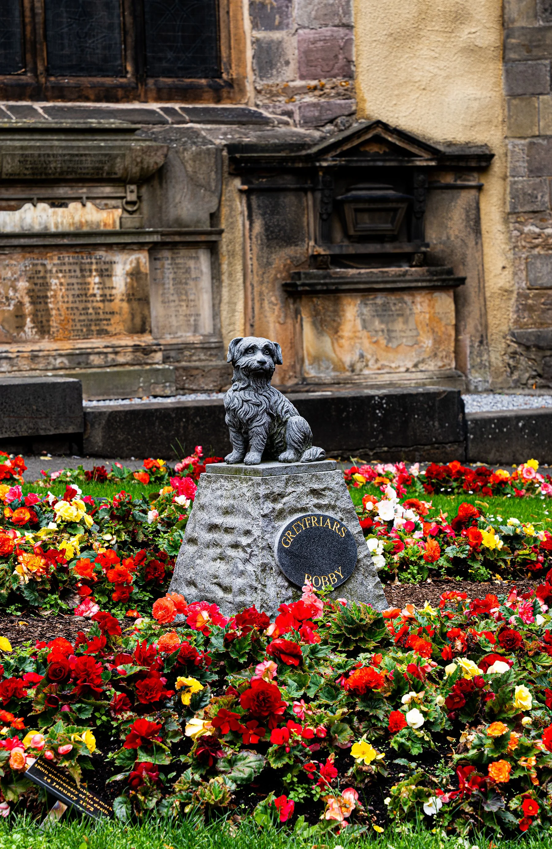 Escultura de un perro de piedra en un cementerio rodeado de flores coloridas, con inscripciones en una piedra angular que dice "GReYFRIARS BOBBY" y tumbas antiguas en el fondo.