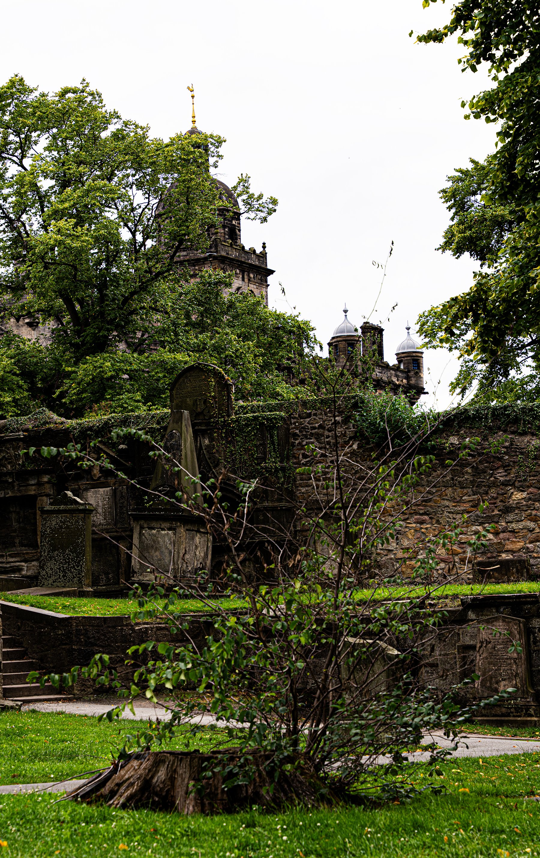 Cementerio antiguo con tumbas y árboles, estructura de piedra con torres y cruces, vegetación y plantas creciendo alrededor.