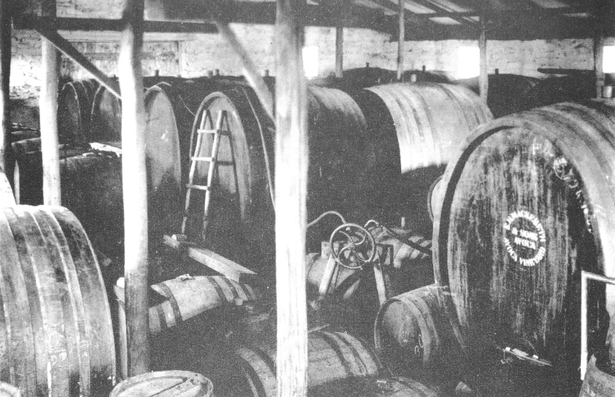 Black and white photograph of a storage room with large wooden barrels, some labeled, stacked along the walls and supported by wooden beams.