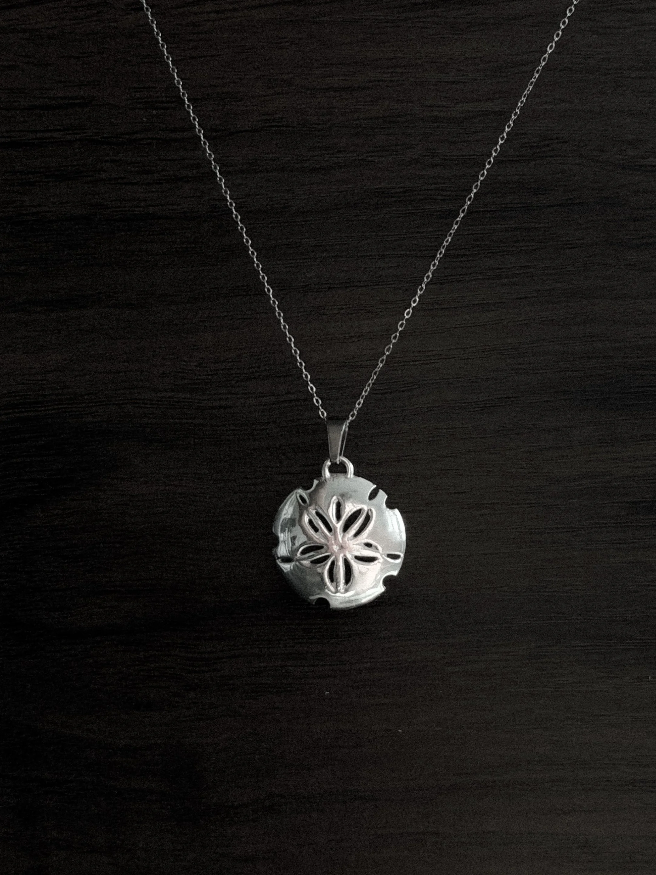 Sand Dollar