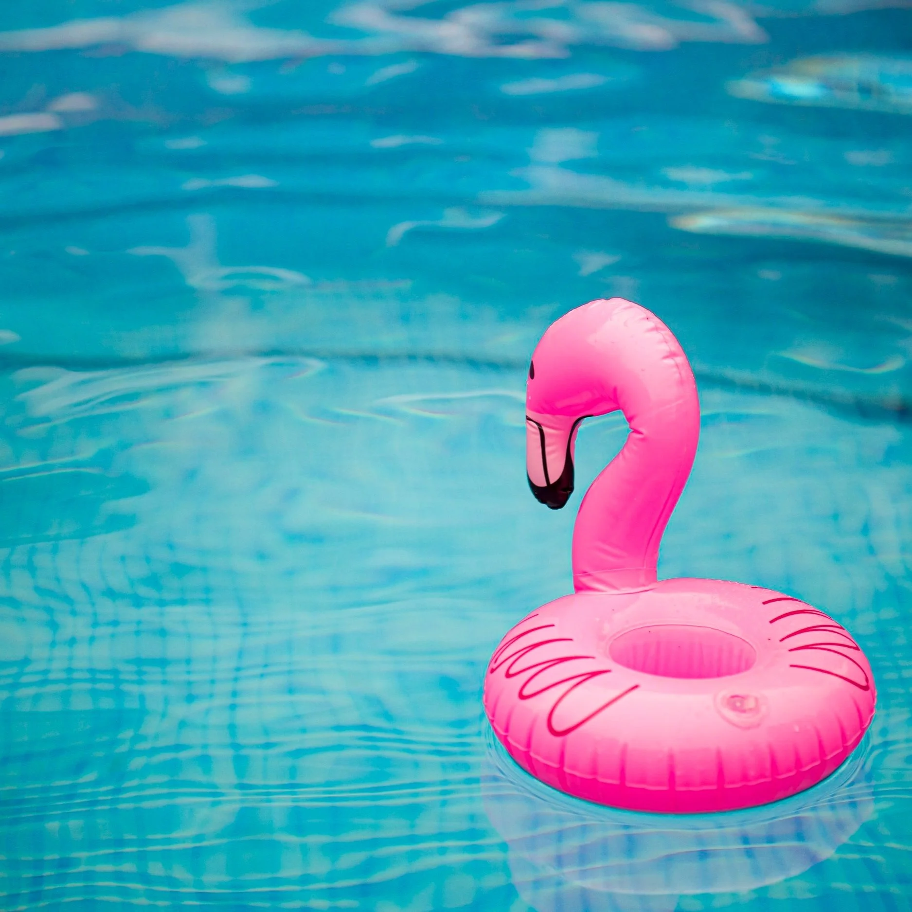 Can a Pool Make a Swimmer Sick?