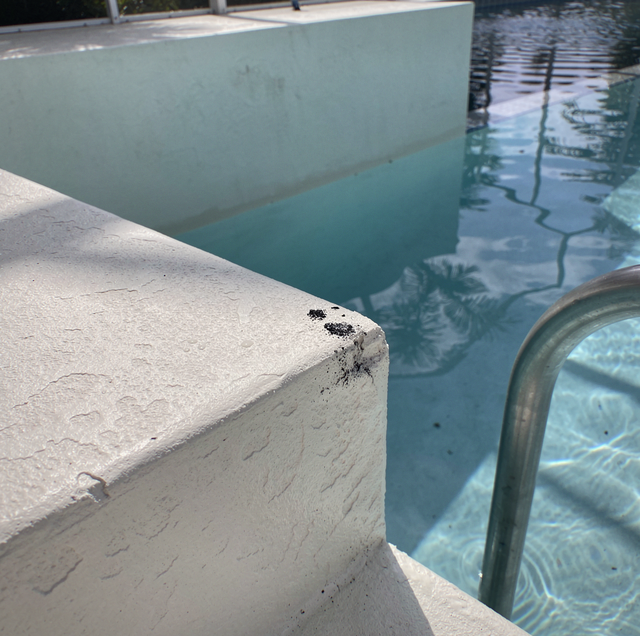 Black algae spots embedded in pool plaster wall