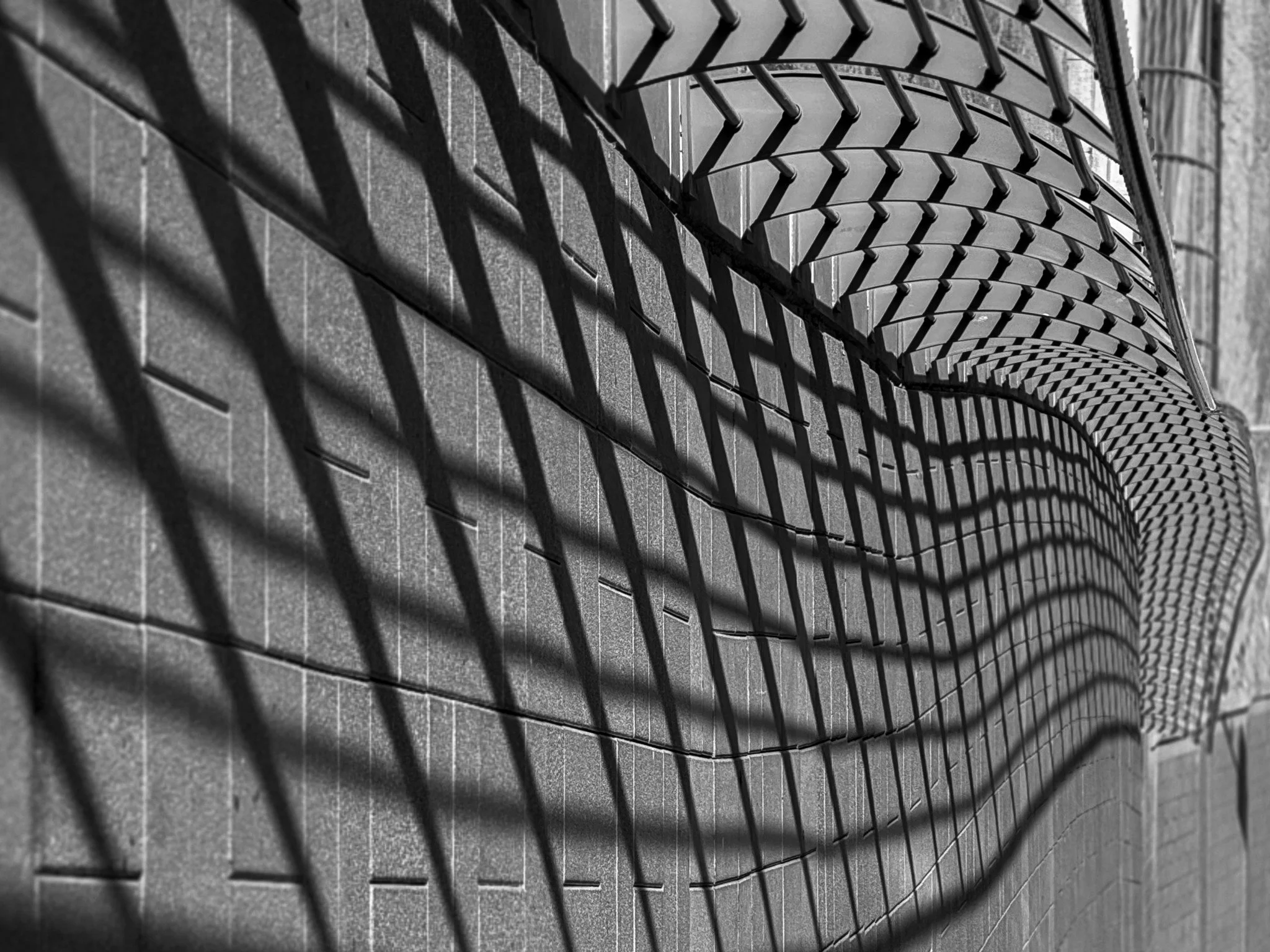 Shadow of a railing · 8 January, 8:03 am