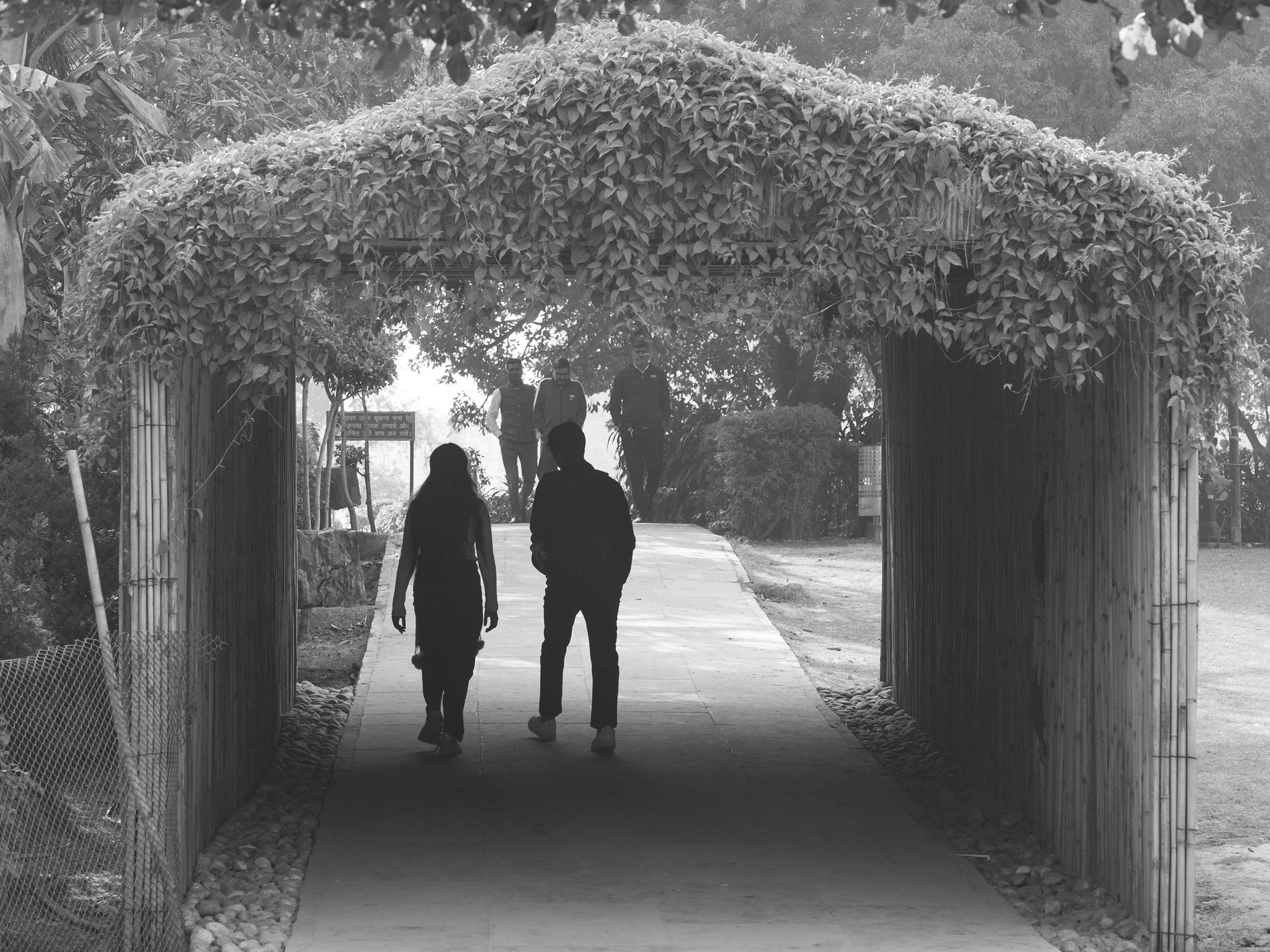 03_the_arbour.jpg