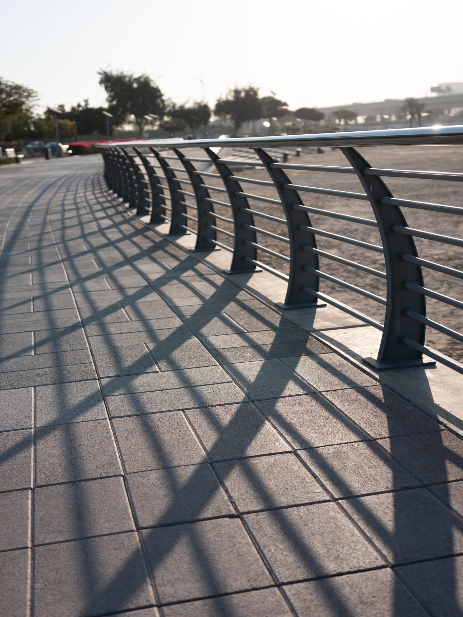 Railings and their shadows · 8 January, 8:23 am