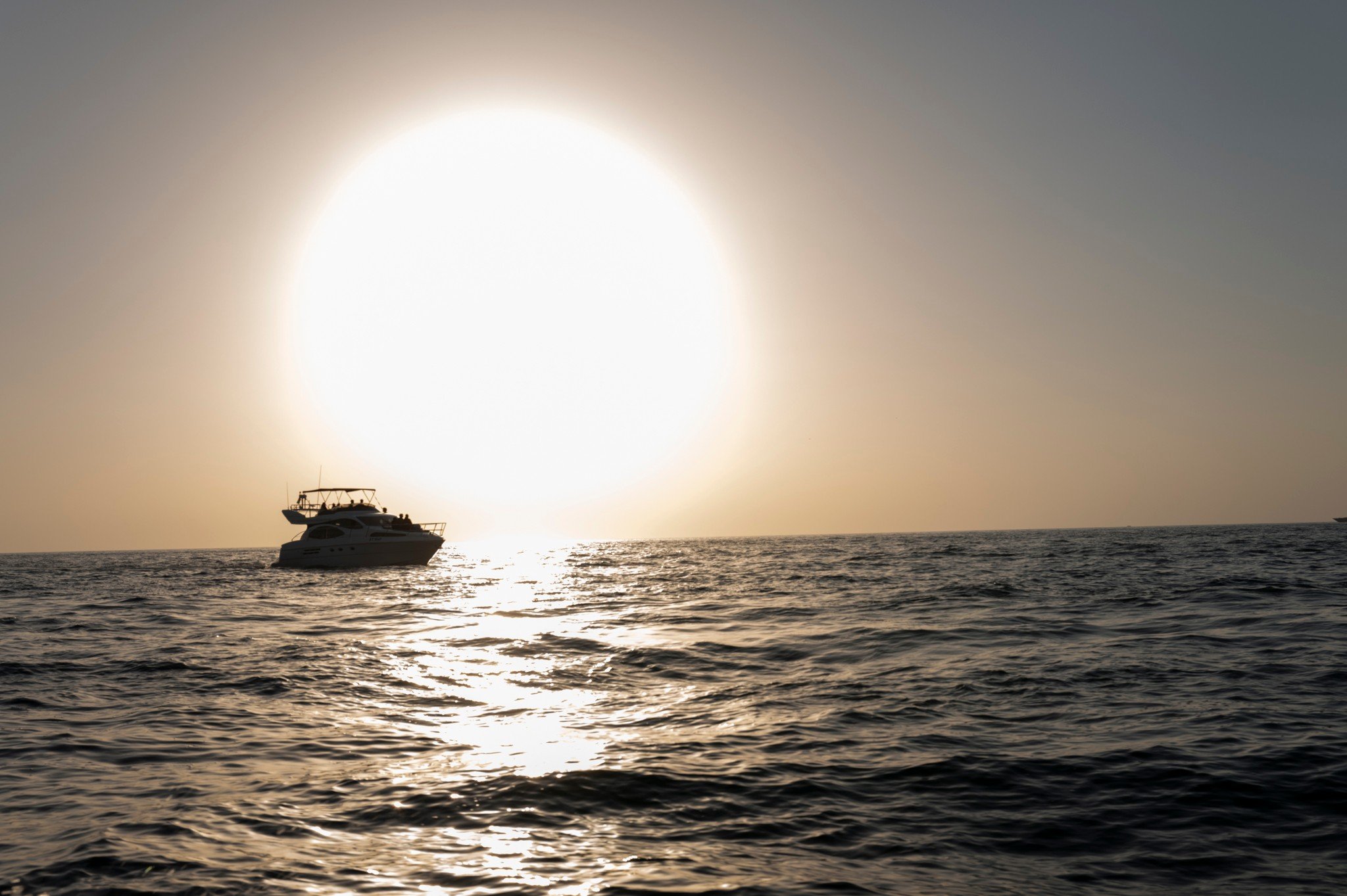 Into the sun · 3 January, 4:52 pm