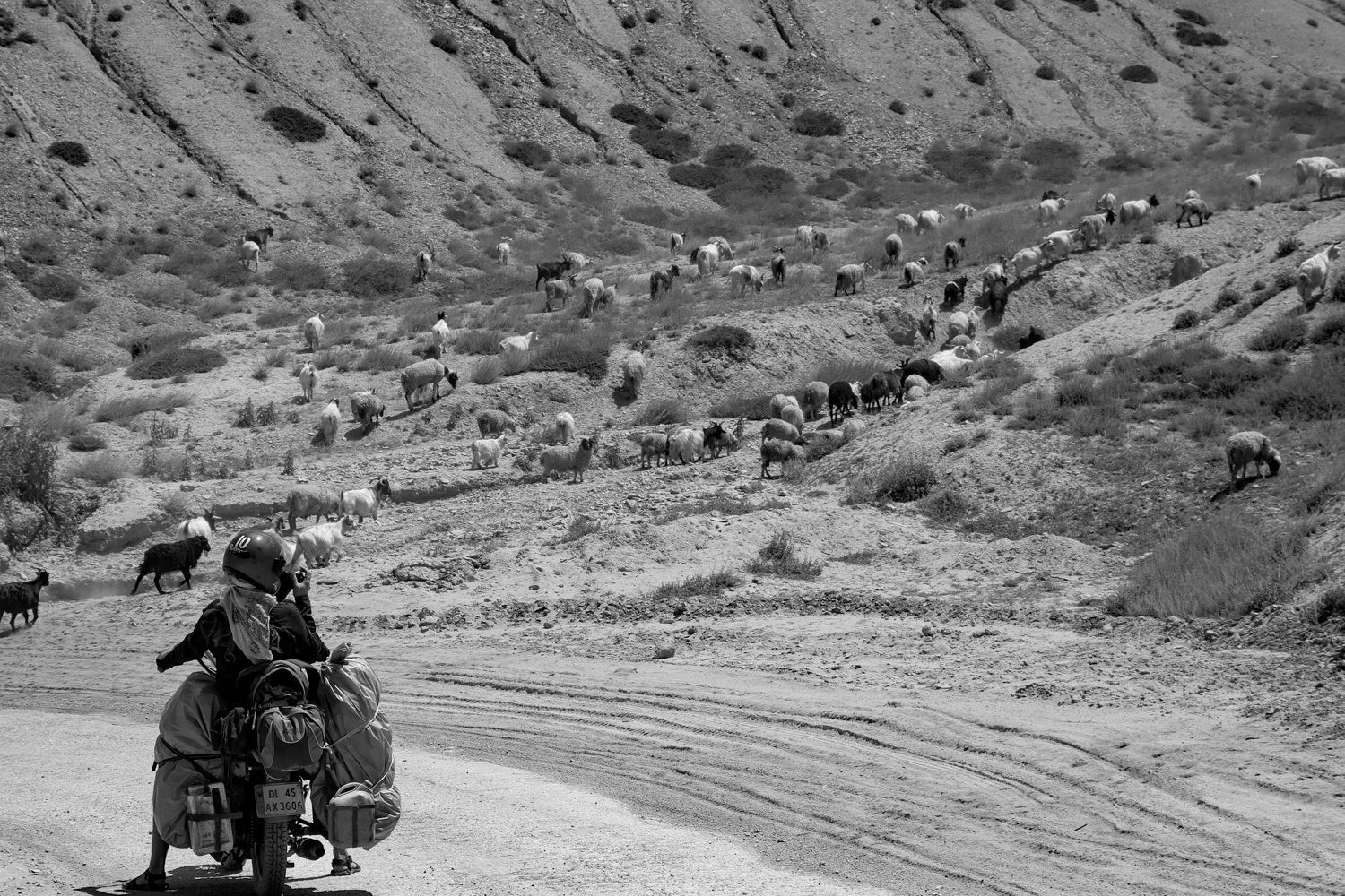 05_shepherd_on_the_mountain_road.jpg