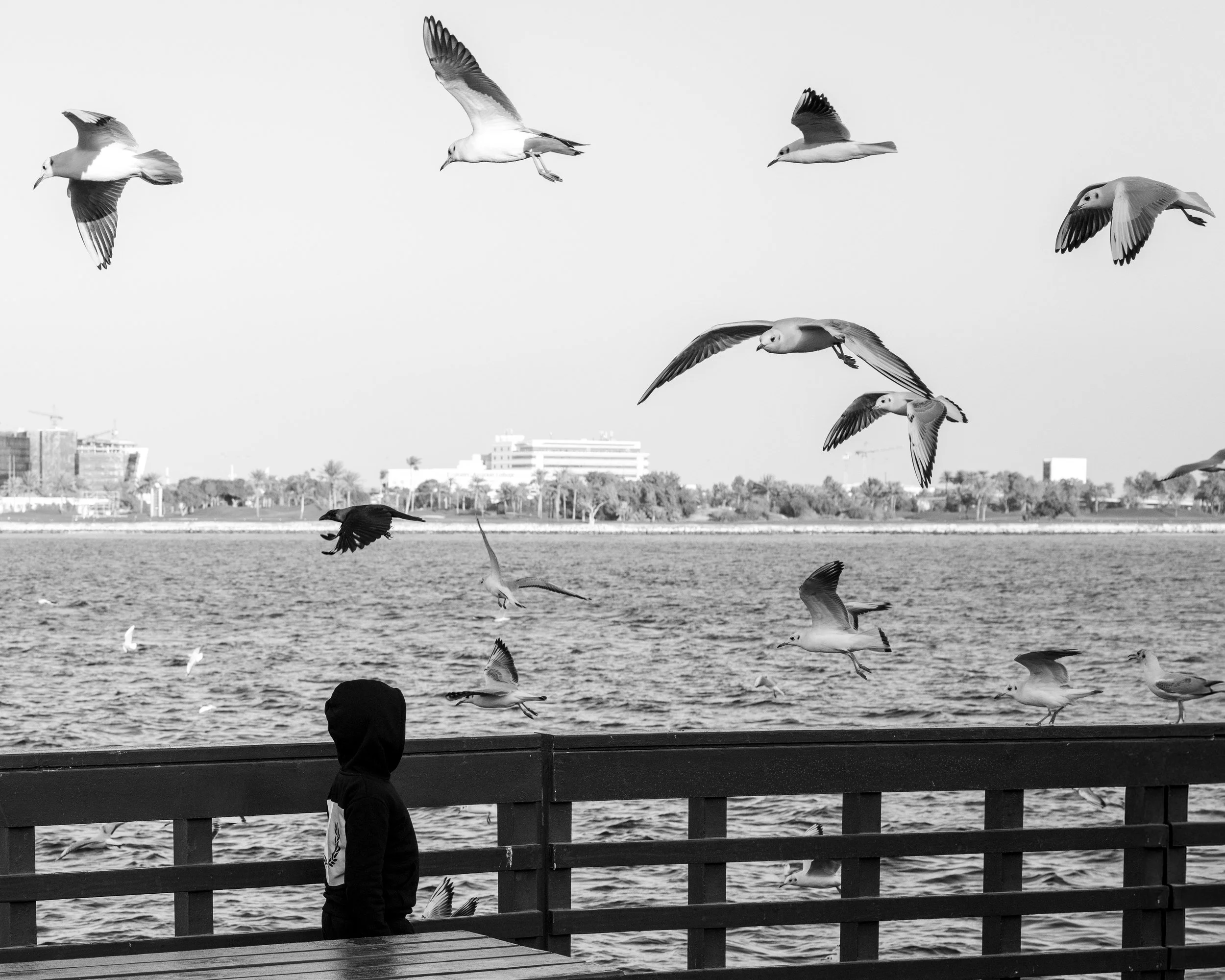 08_boy_and_gulls.jpg