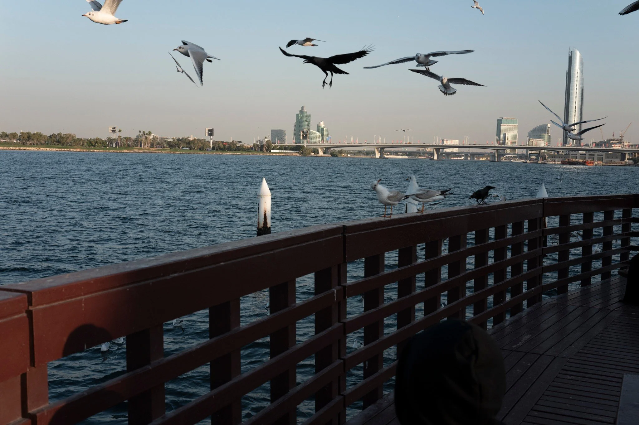 From the deck · 5 January, 4:50 pm