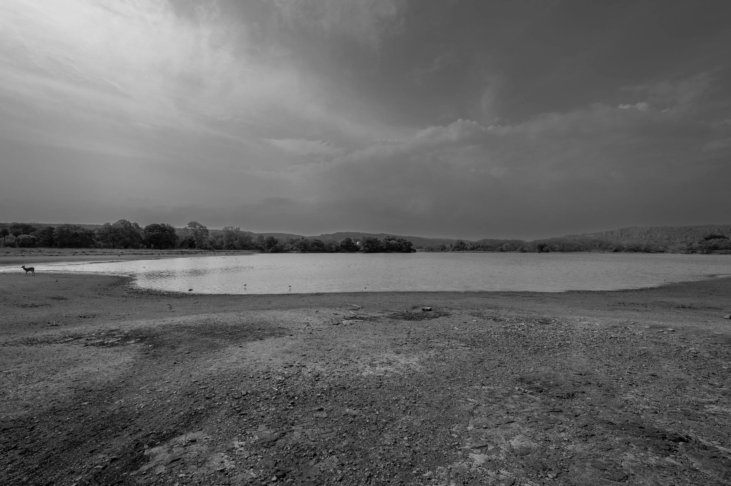 The lake under cloud · 1 June, 8:47 am