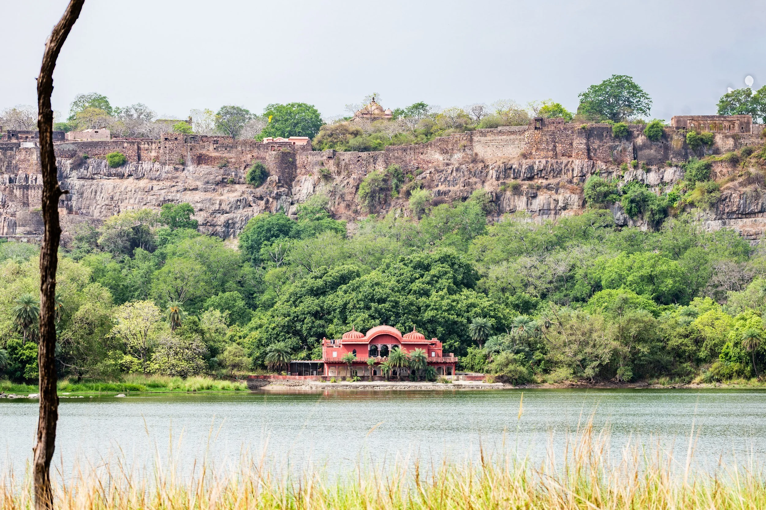 08_ranthambhore_fort_and_lake.jpg