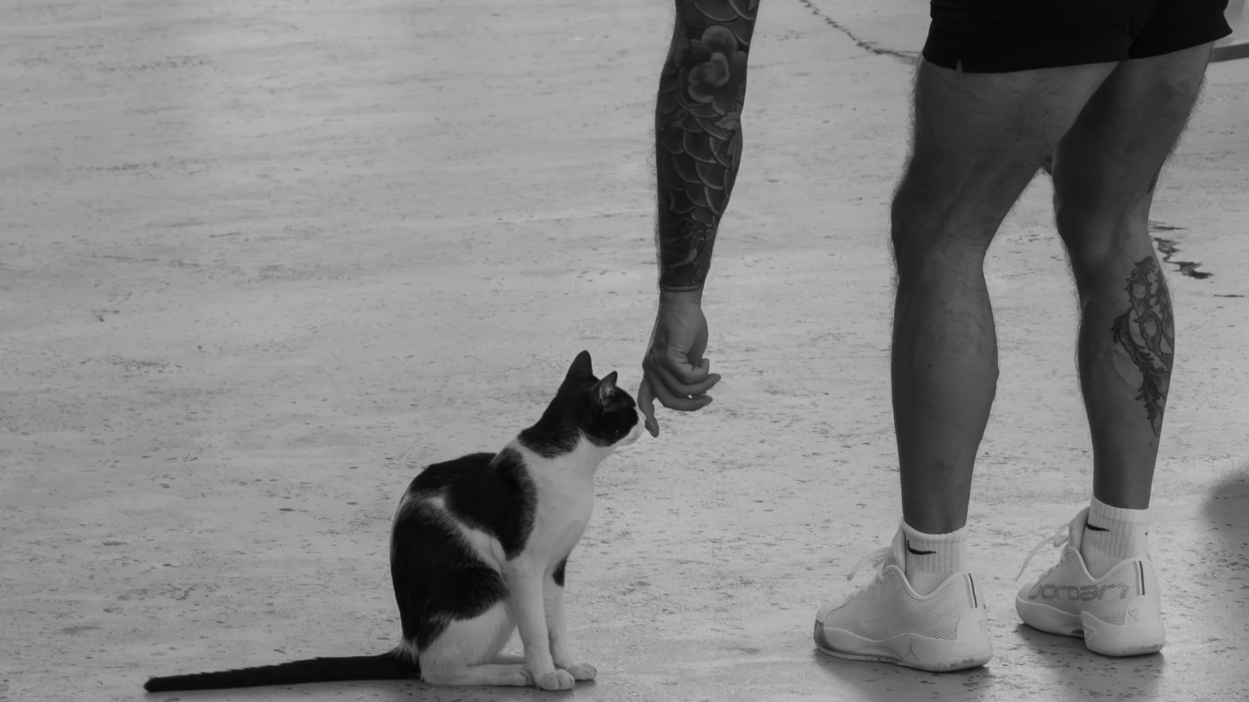 13_cat_and_feet.jpg