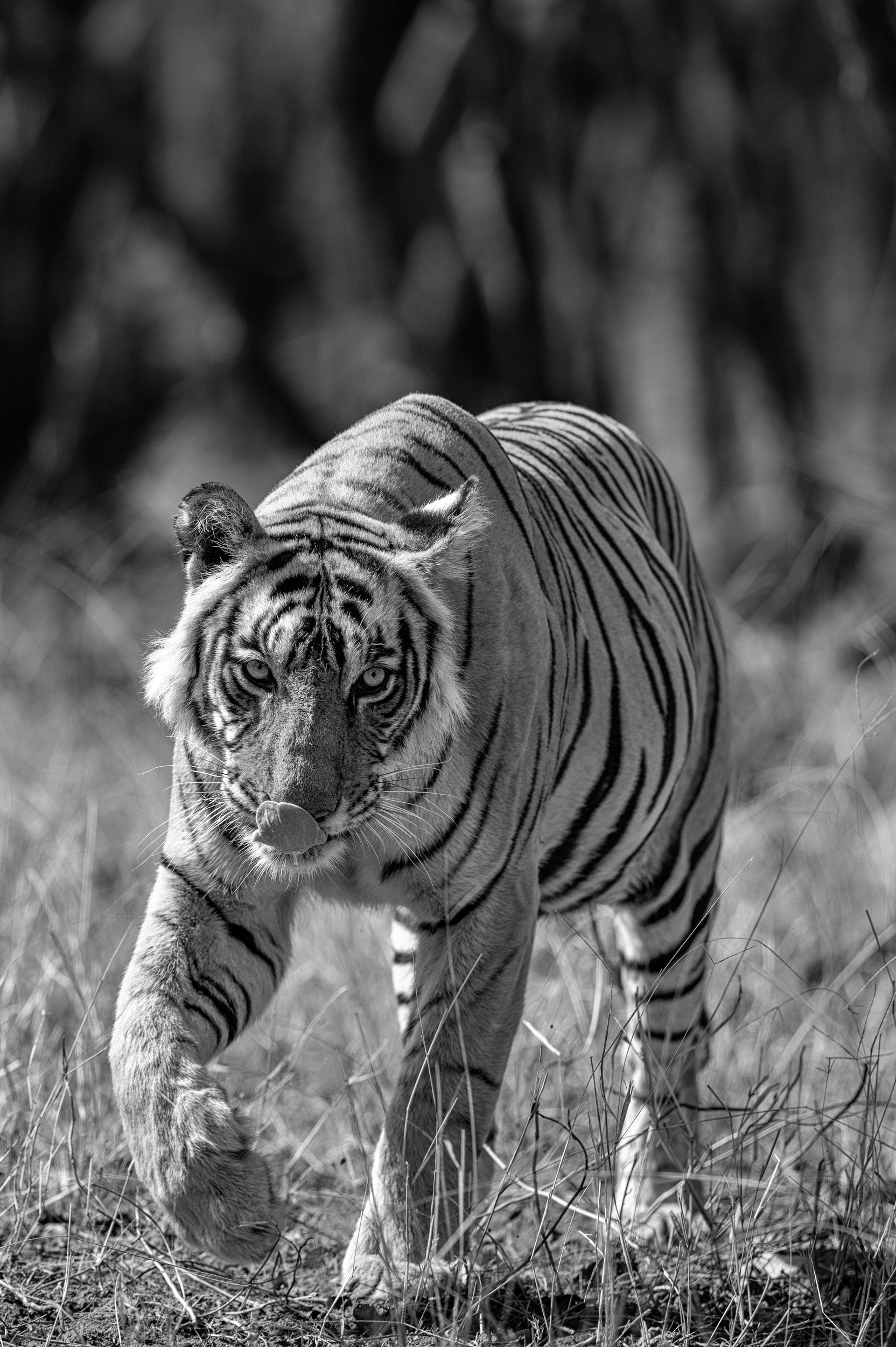 Two and a Half Minutes — Riddhi walks past, 2 June 2026