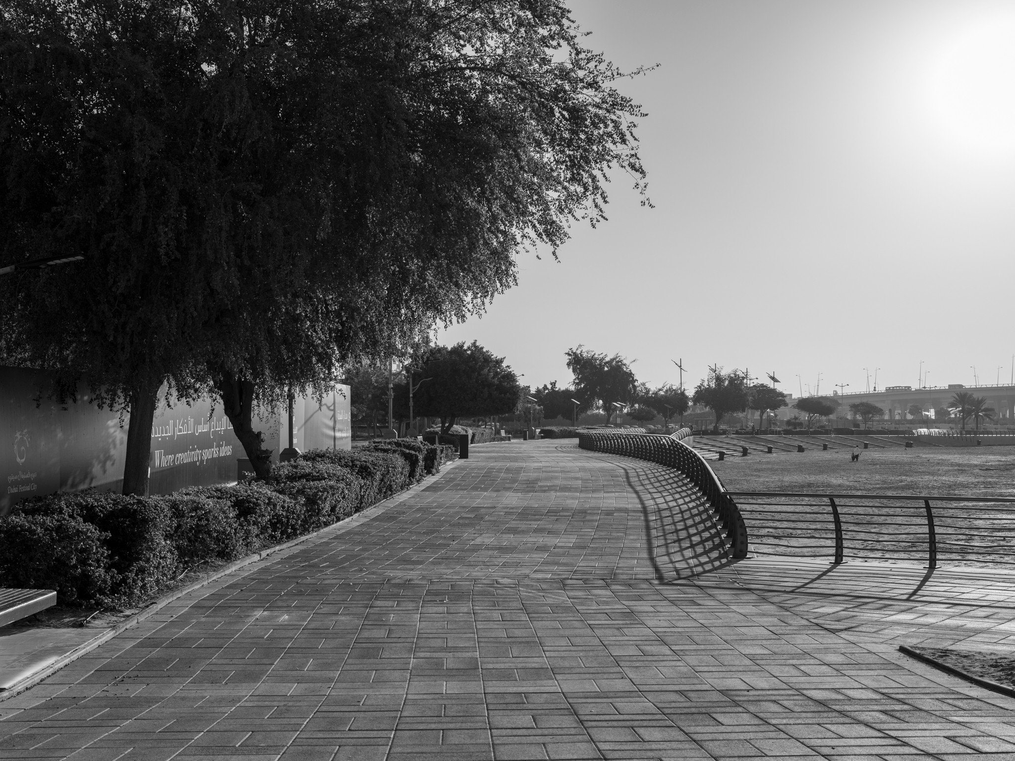 The morning walk · 8 January, 8:20 am