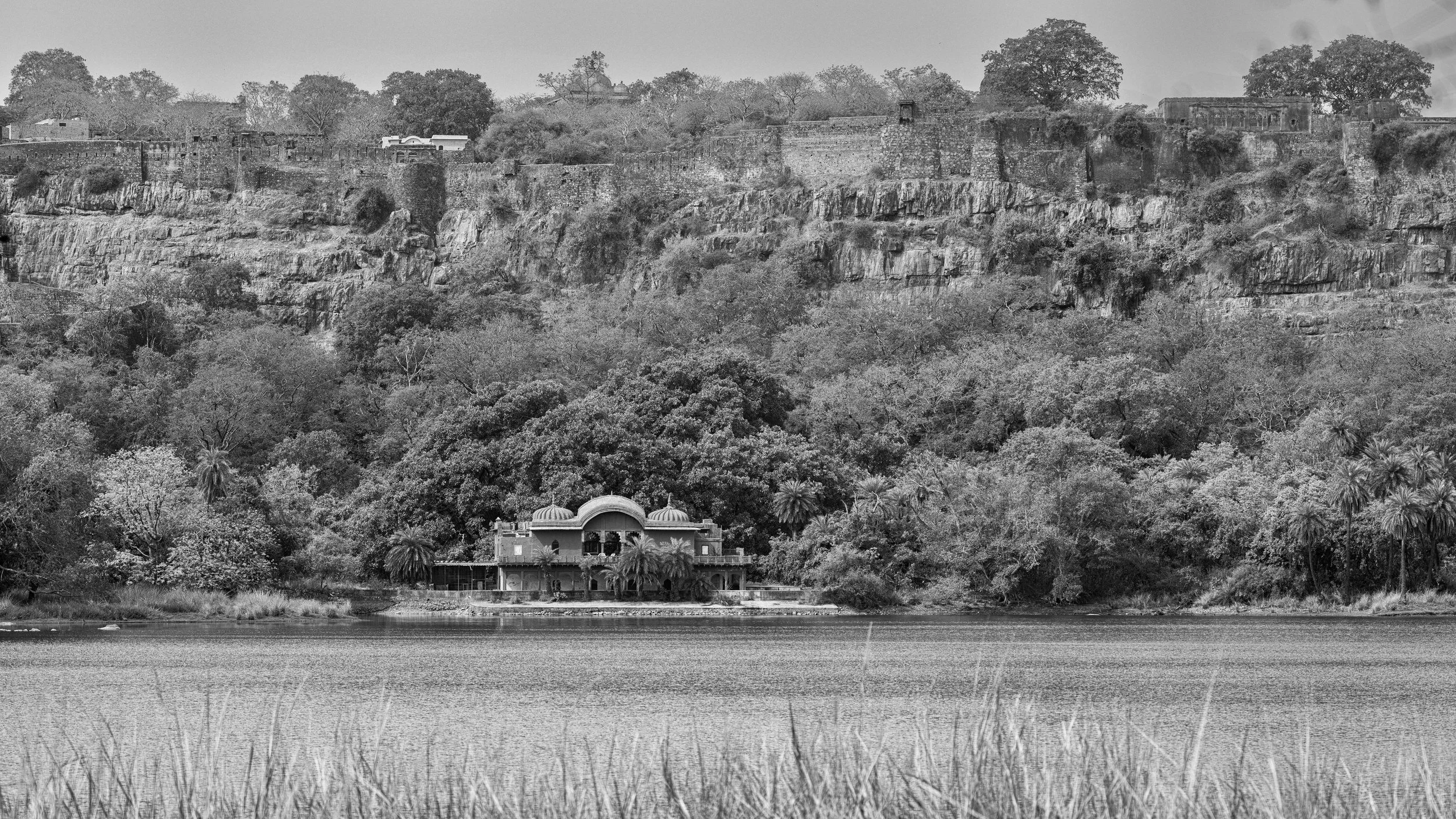 Jogi Mahal — the lakes and forests of Ranthambhore have shaped generations of tigers and photographers · Leica SL3-P