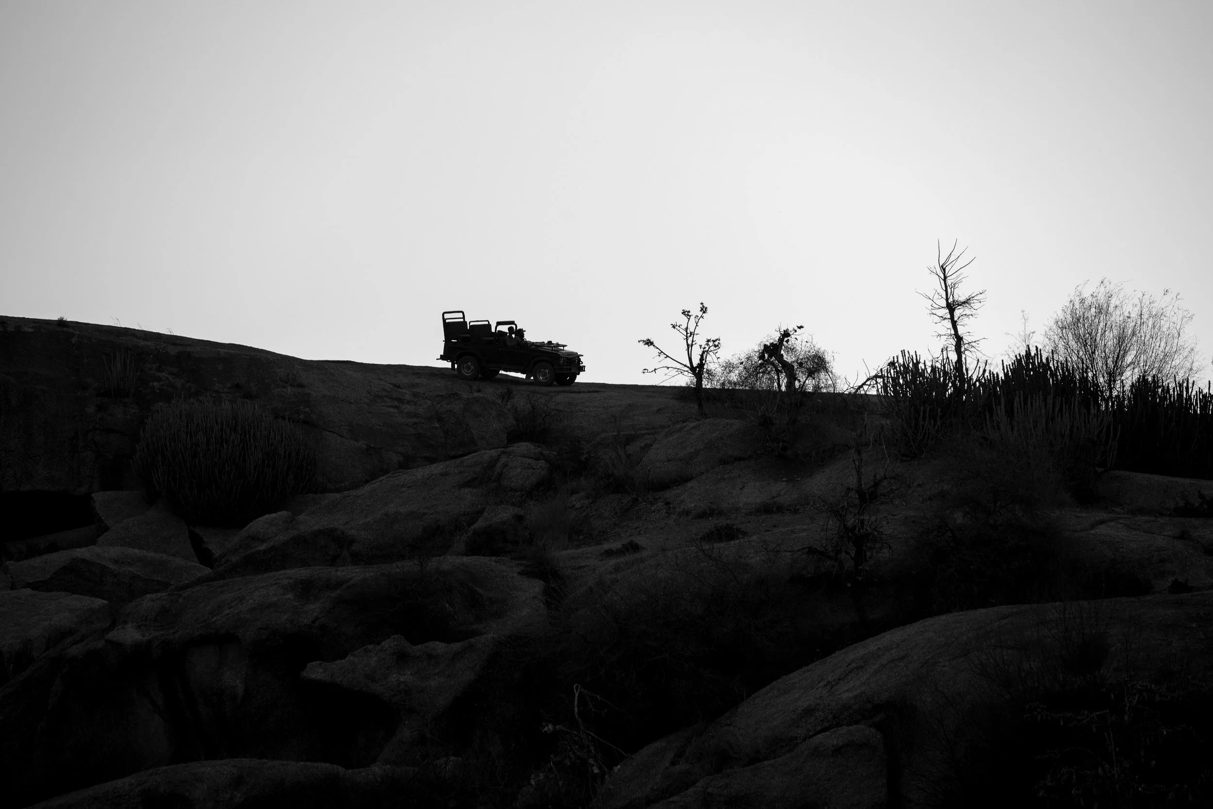 Waiting on the granite · 25 March, 6:40 pm